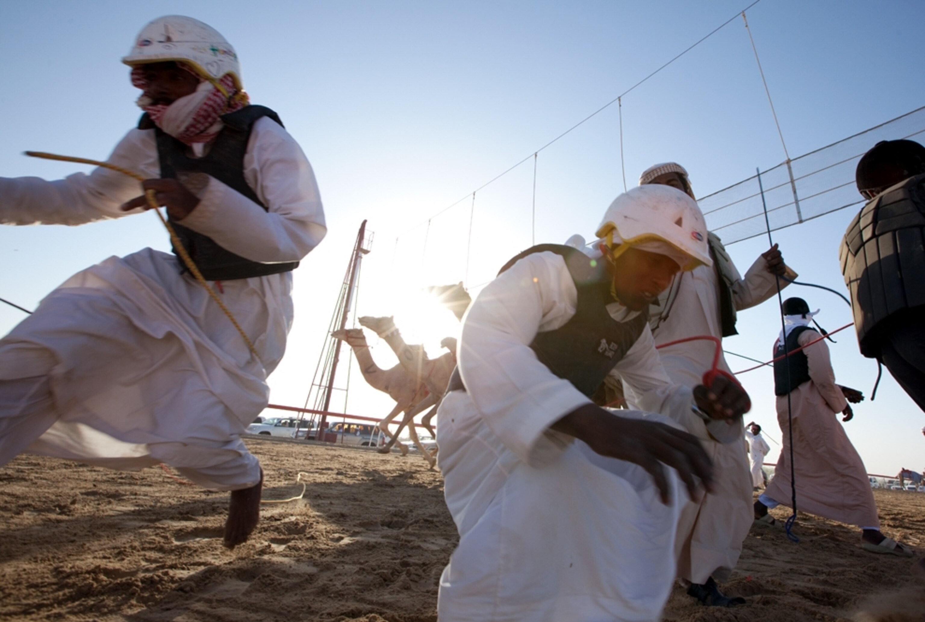 Men leaping out of the way of camels (photo)