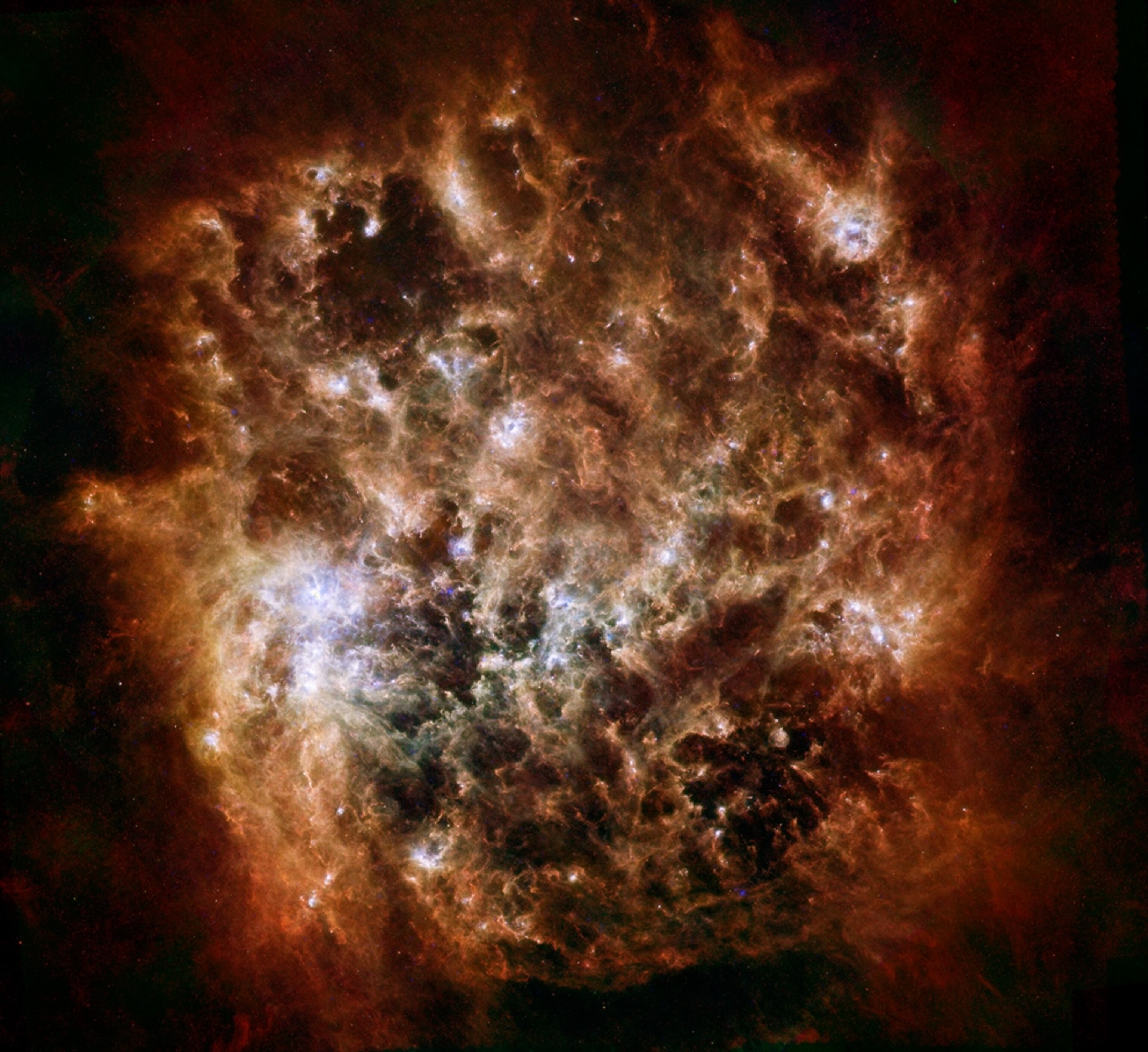 Galaxy picture: an infrared view of the Large Magellanic Cloud