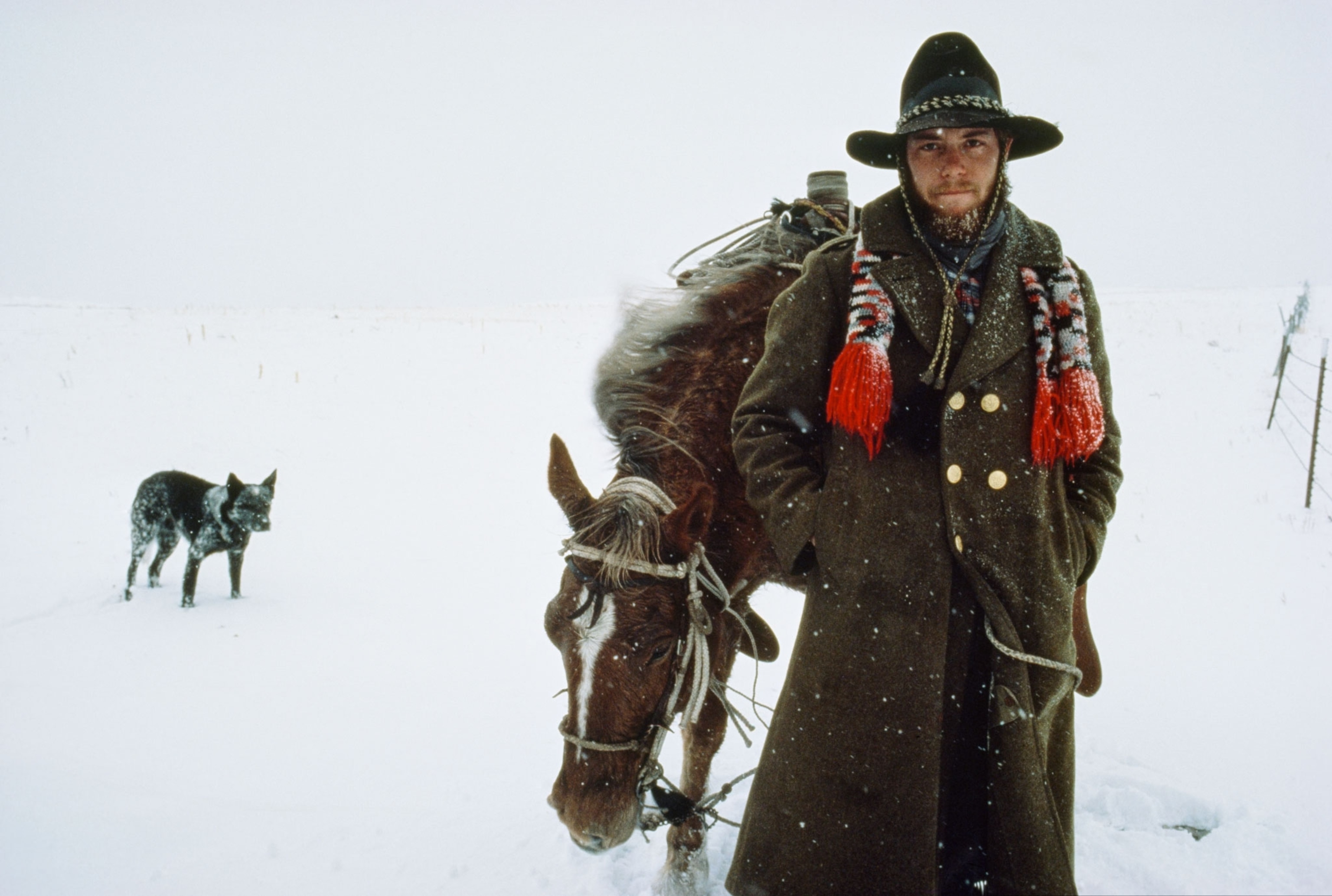 a horse wrangler in the snow