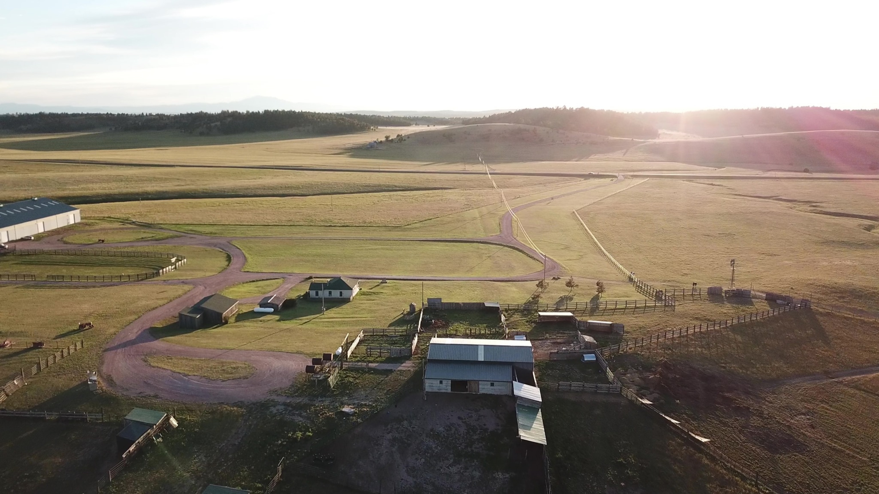 This drone photo shows a pig barn and the nearly 200-acre horse pasture at Kindness Ranch Animal Sanctuary. 