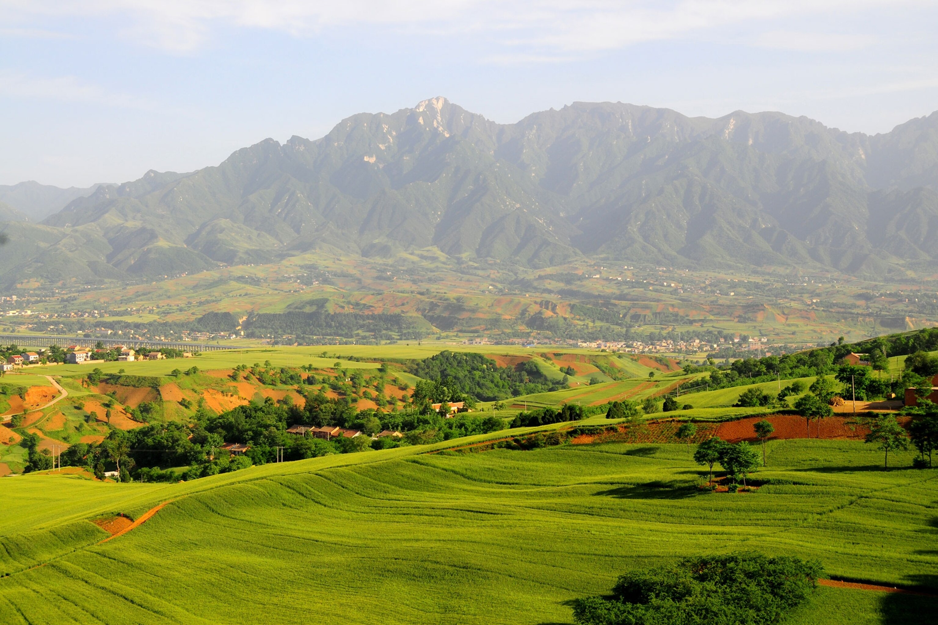 archeological dig in China