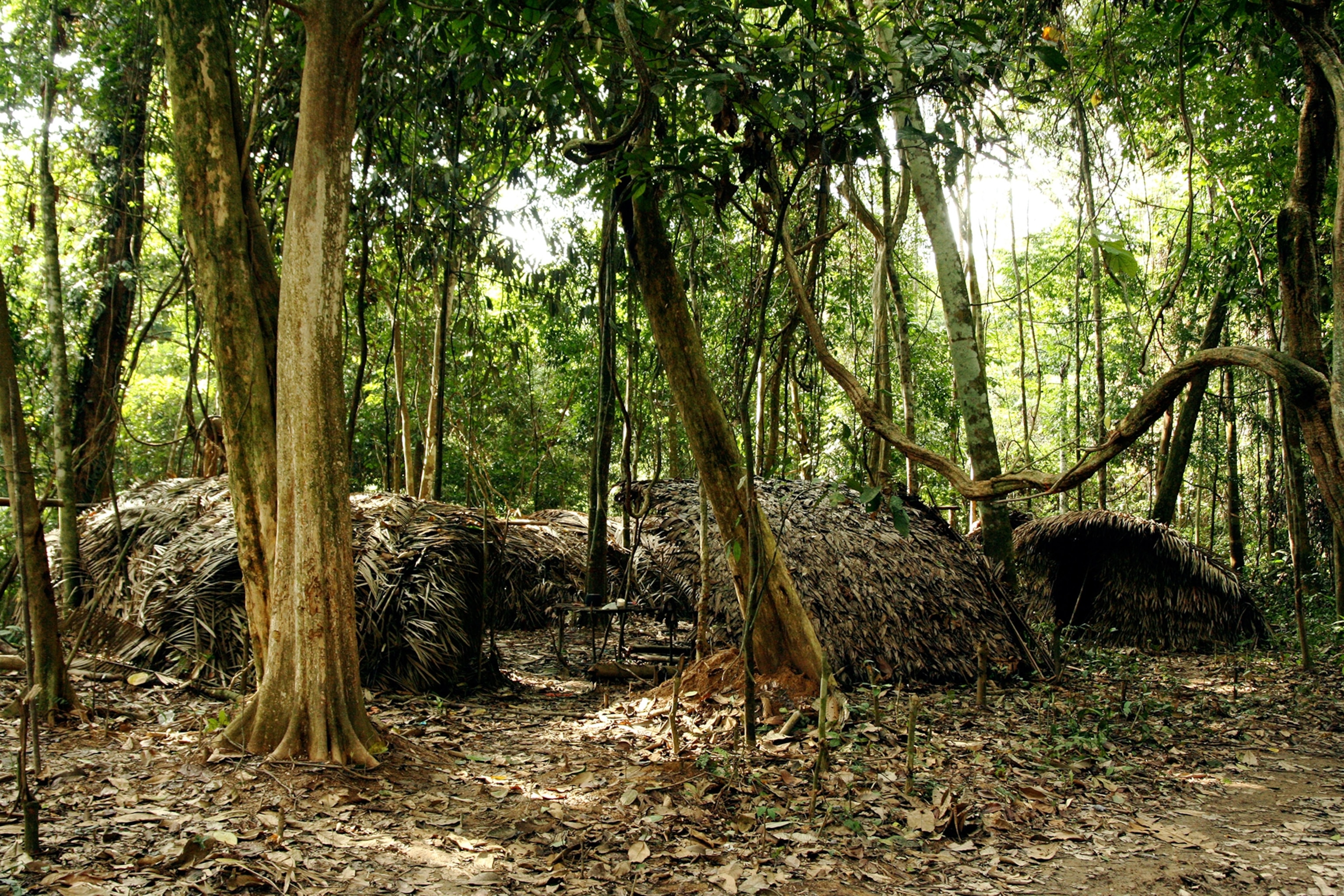 abandoned Thatch shelters
