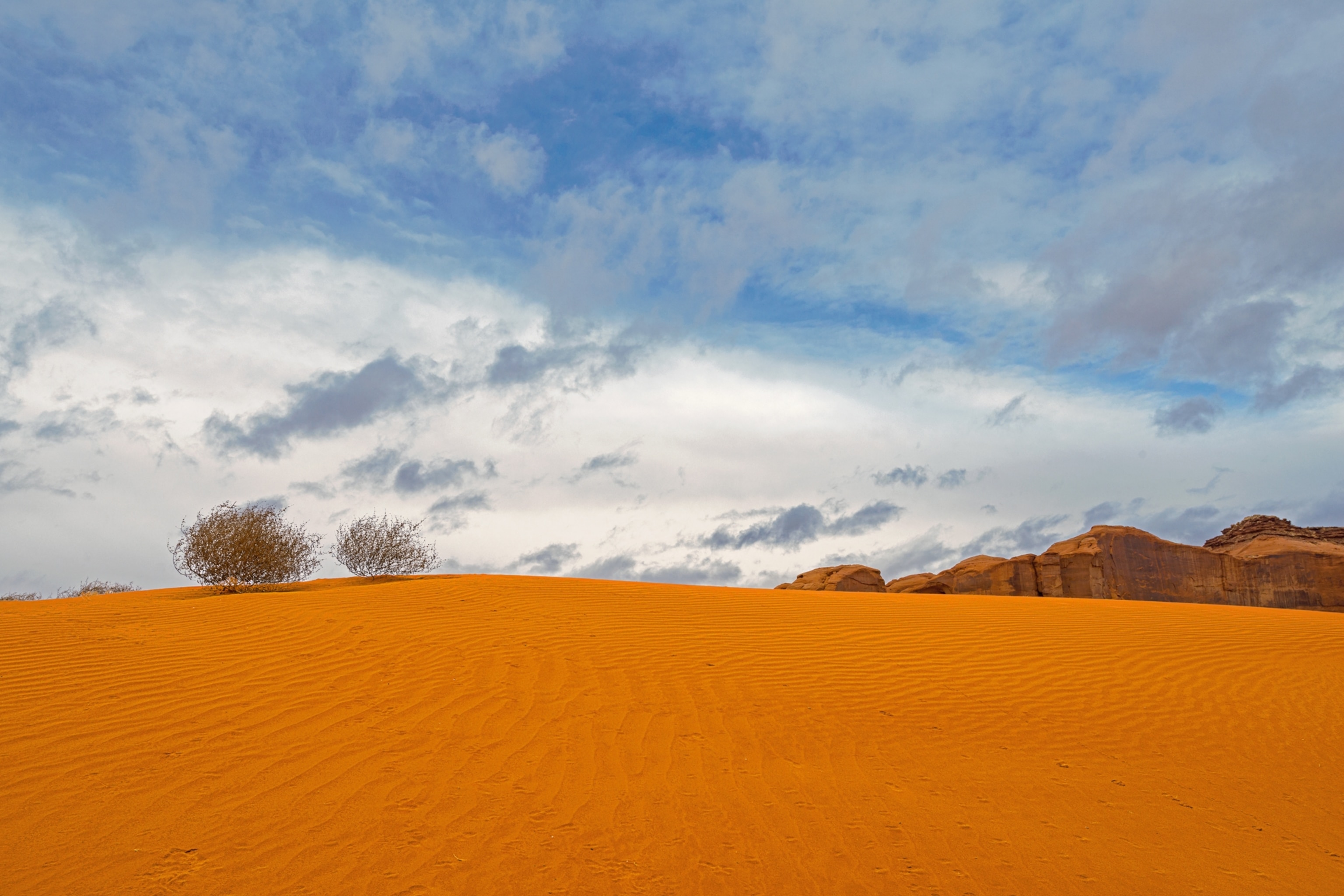 tumbleweeds blowing across a sand dune in Monument Valley