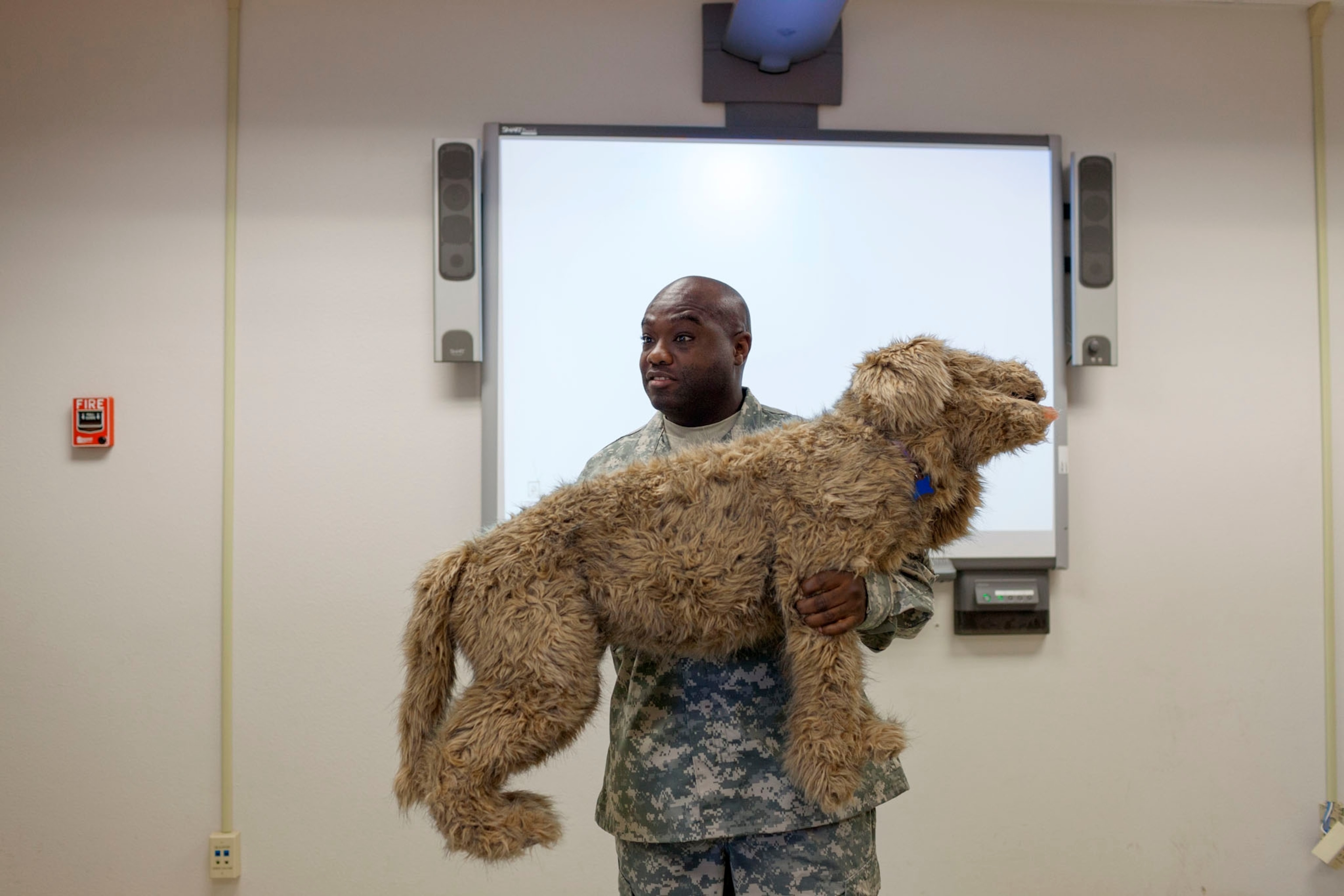 a veterinary technician teaching first aid module of the dog handlers course.