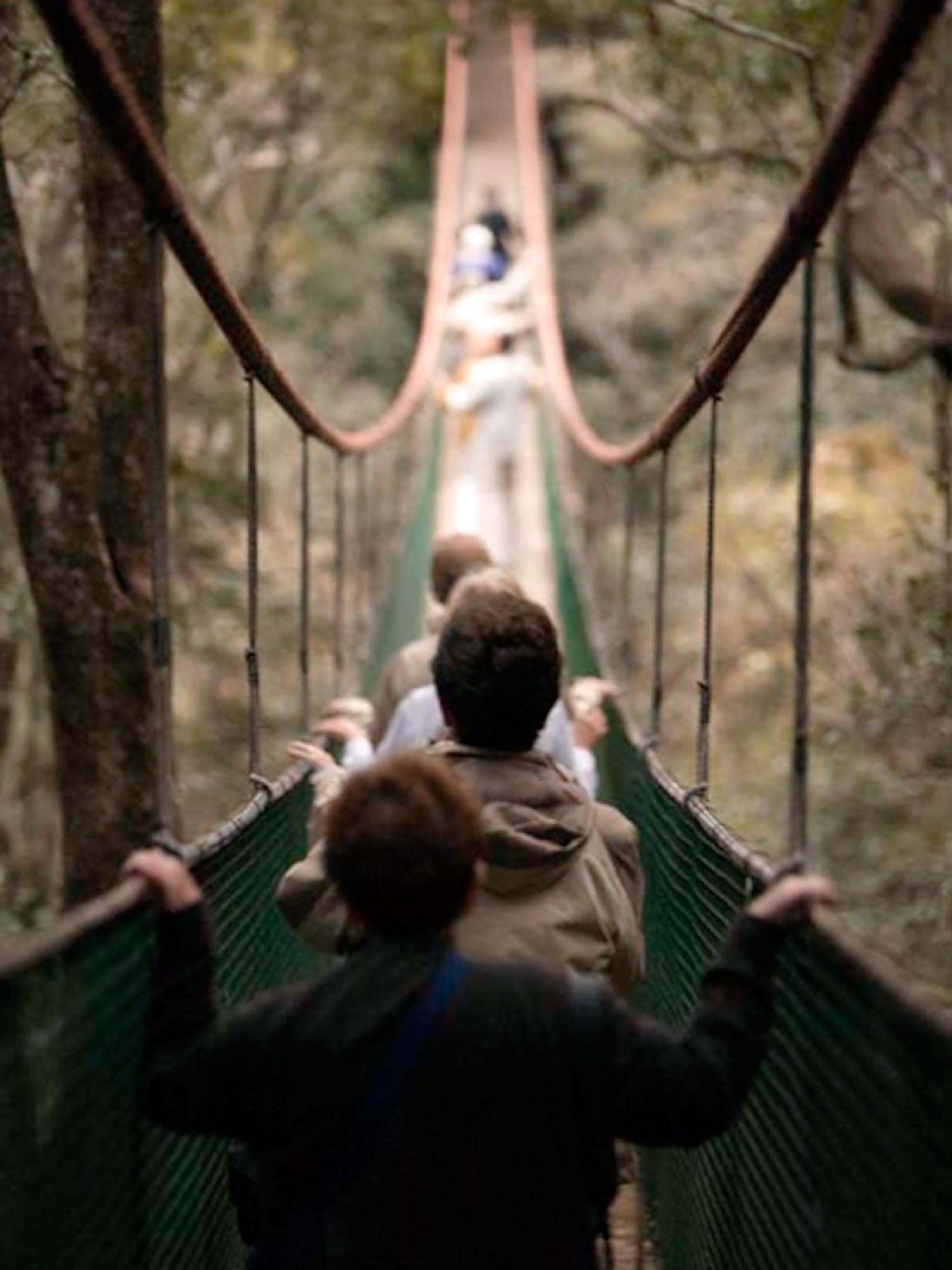 South Africa rope bridge