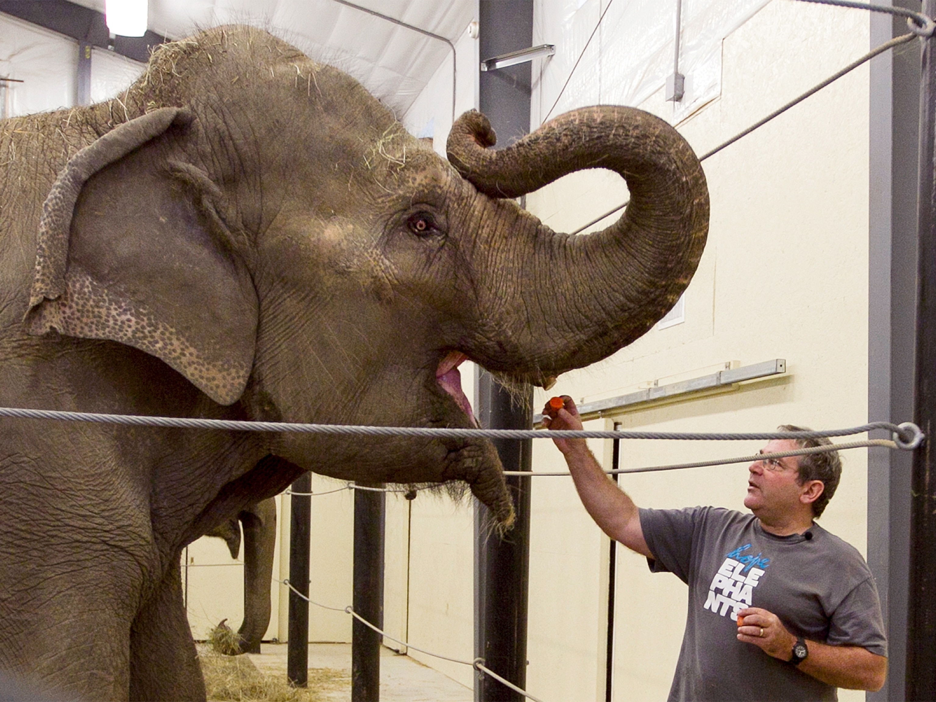 James Laurita with an elephant at his sanctuary before his death.