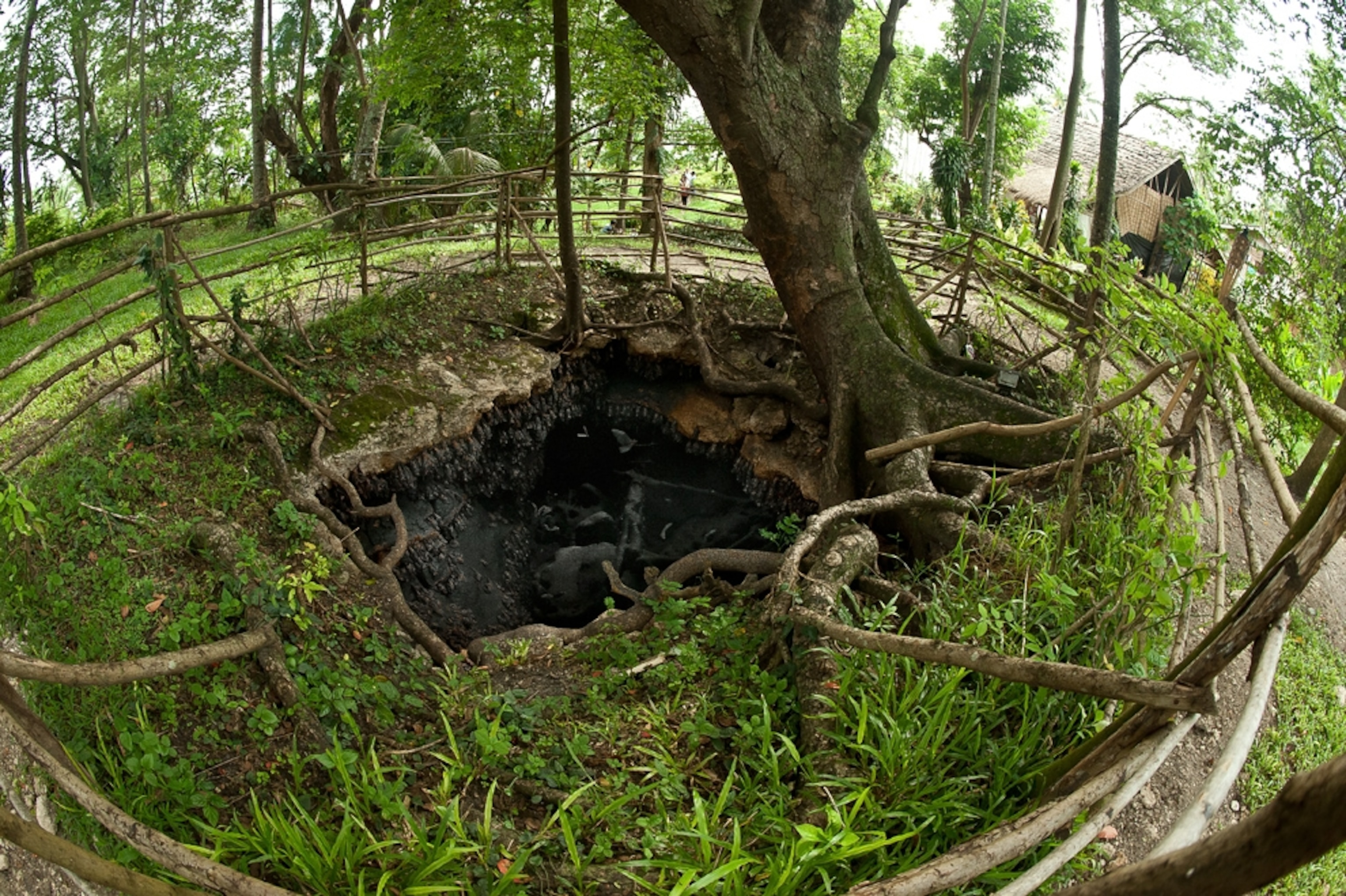 A picture of a hole leading to a bat cave in the Philippines