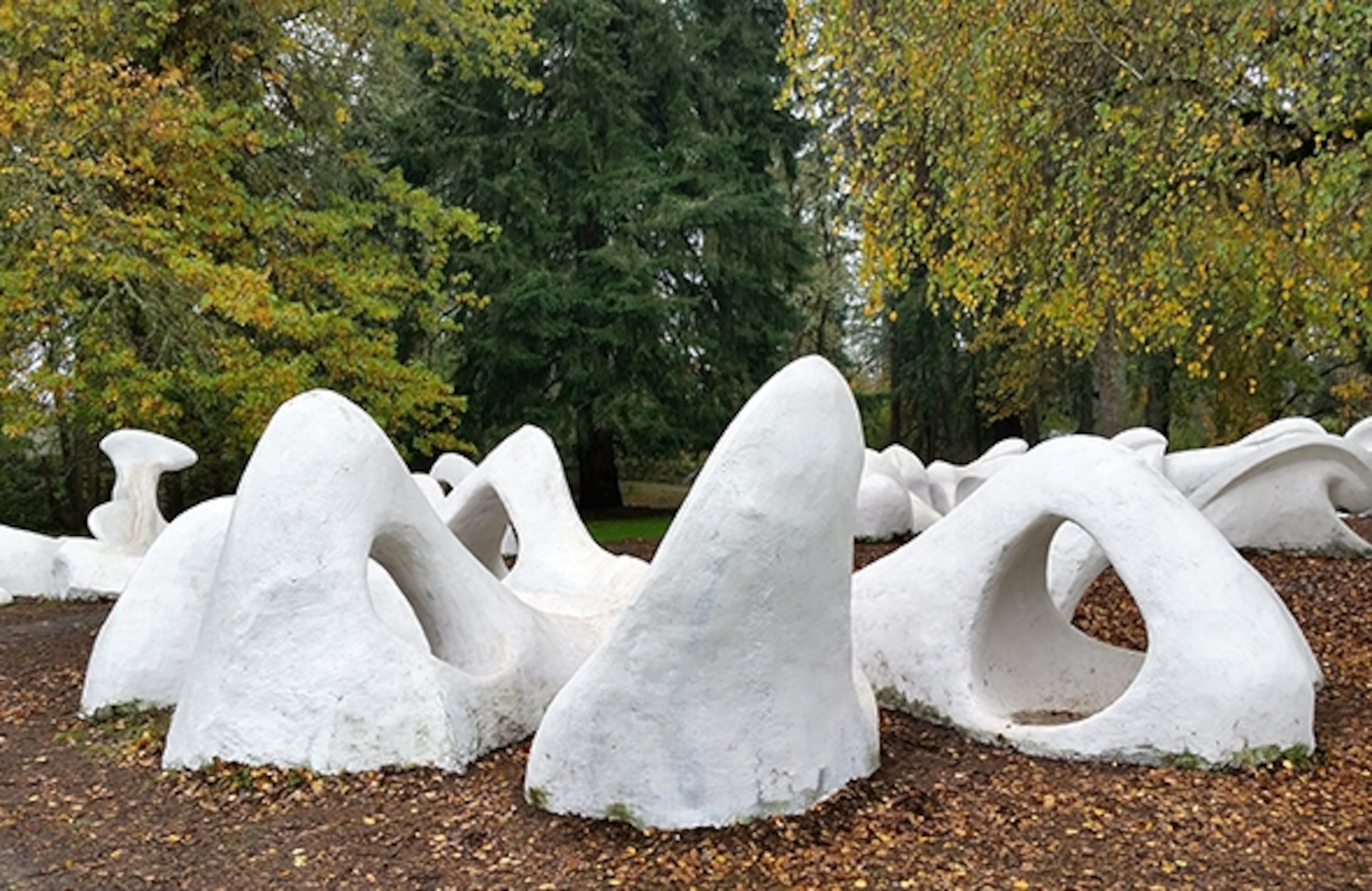 Avery Park's beloved "dinosaur bones" sculpture were recently repaired after years, and rains, took a toll on the original piece. (Photograph by Robert Reid)