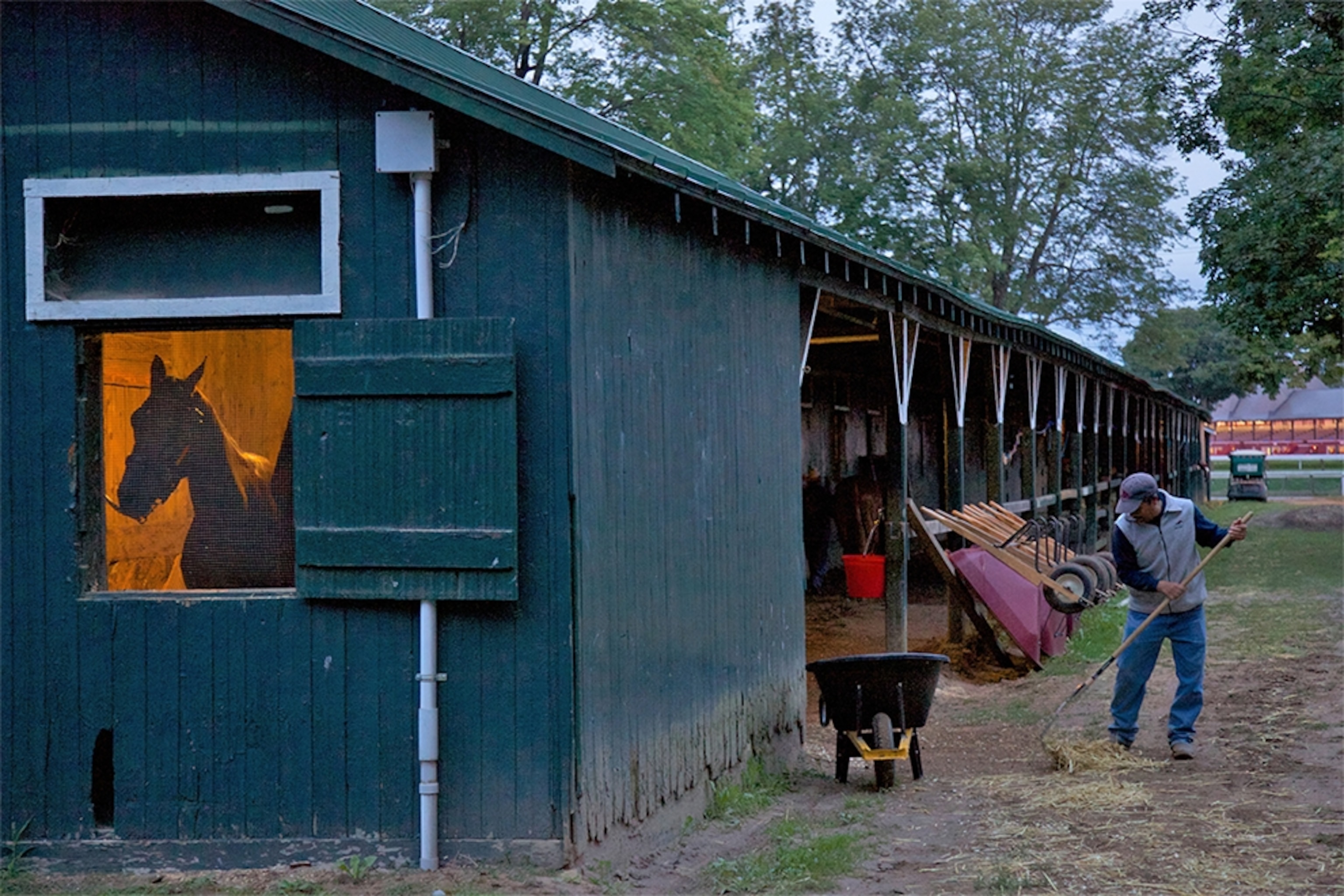 horse in stable in Saratoga, New York