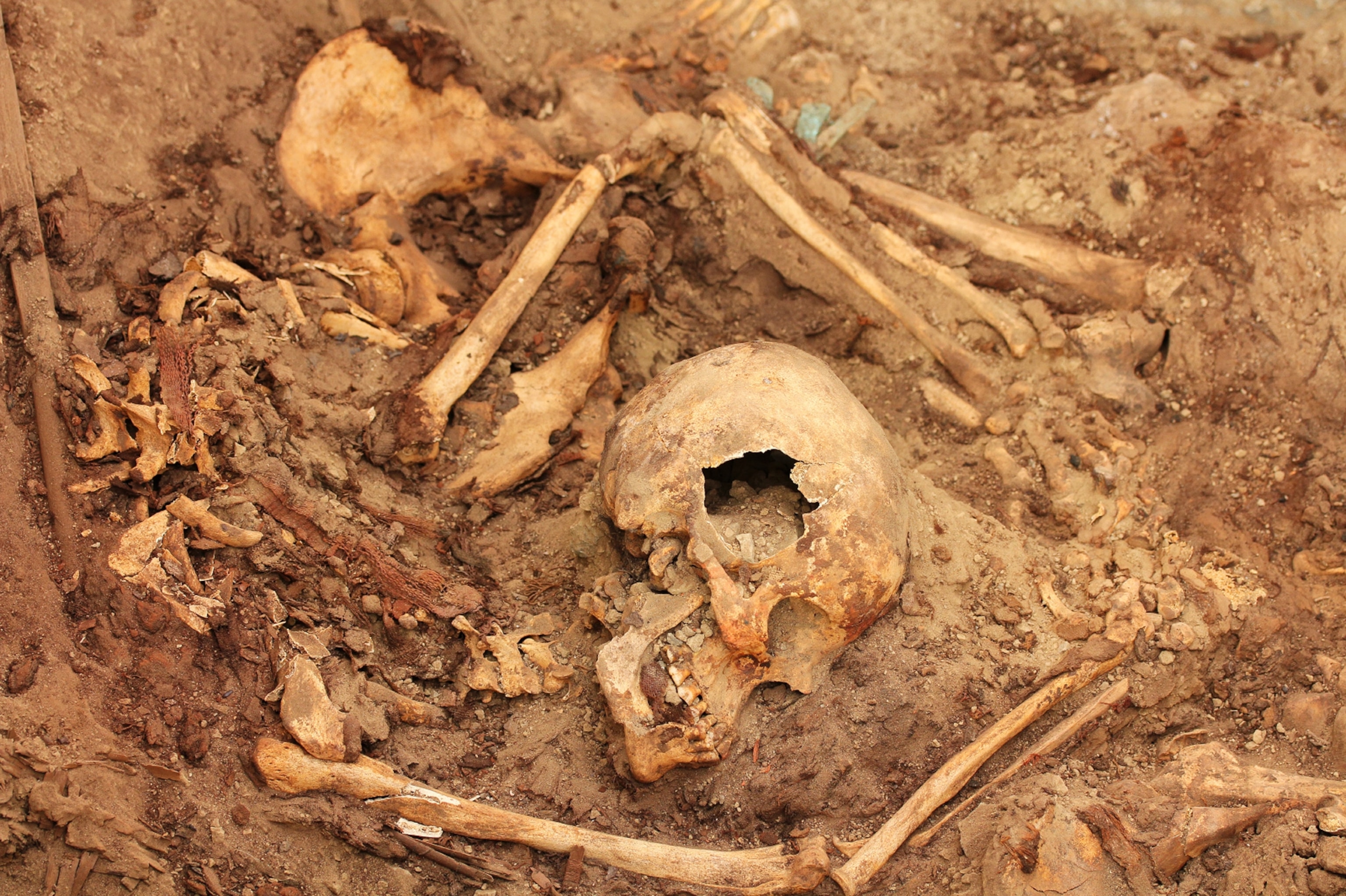 Peru Tomb - A skeleton unearthed in an archaeological site in Peru.