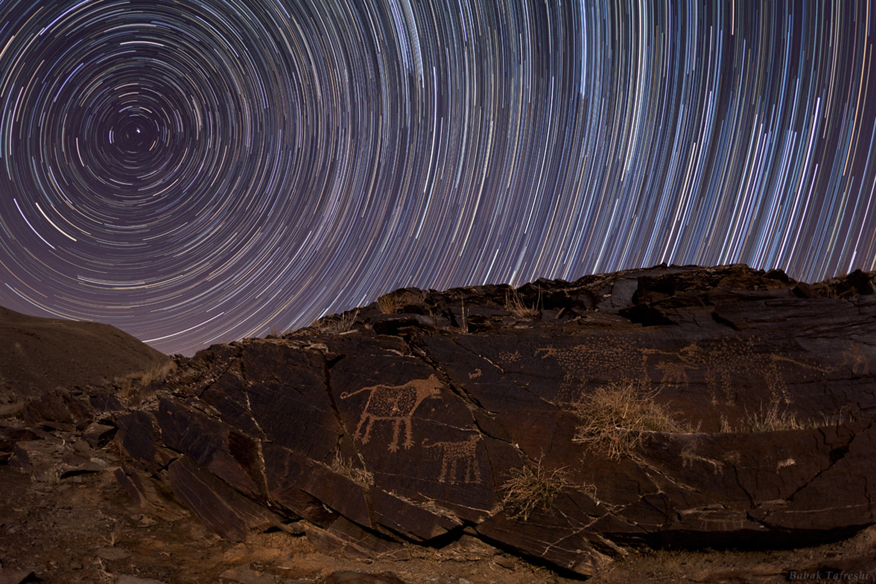 Star trails picture: one of the week's best space pictures