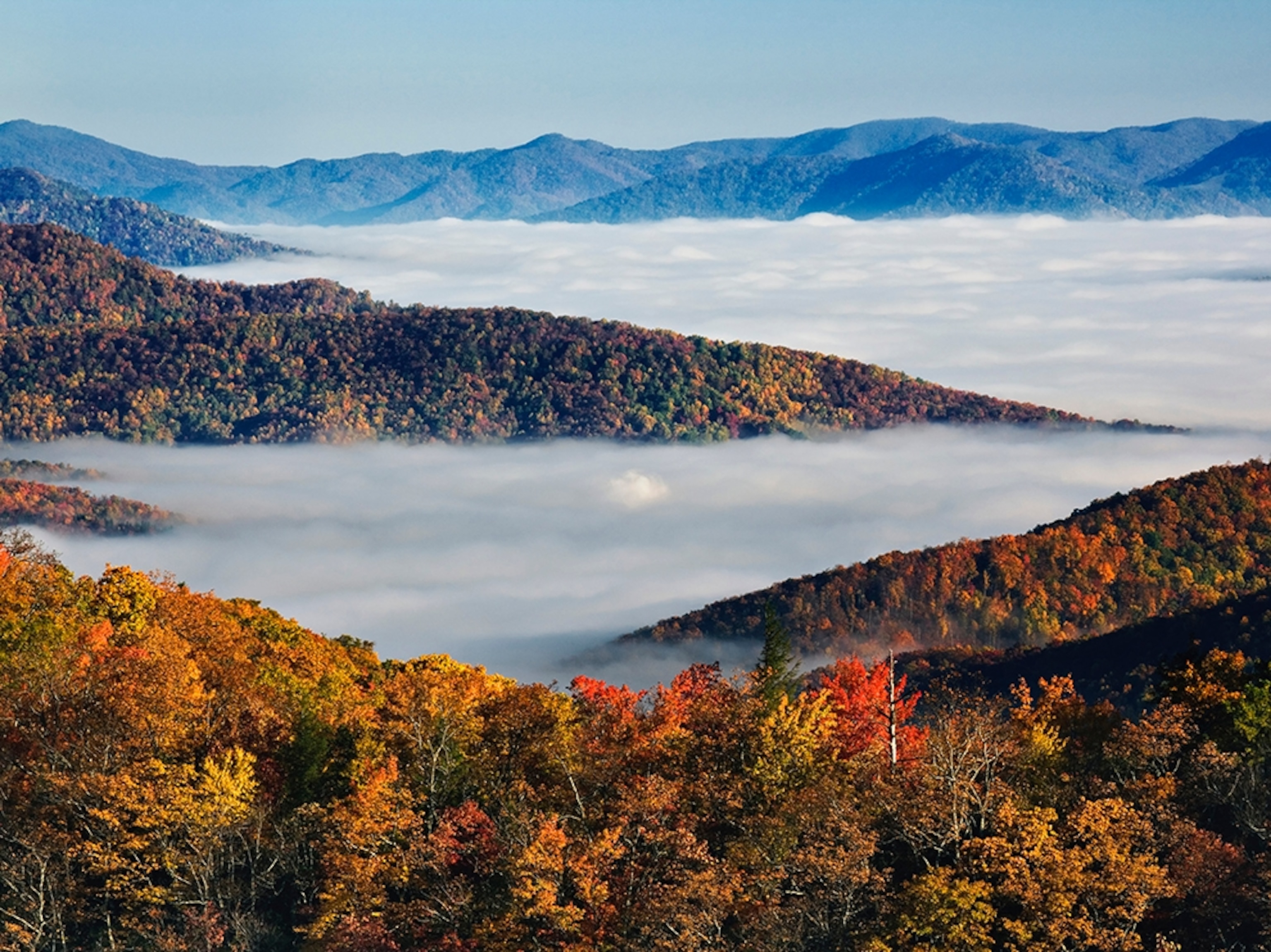fog over Pisgah National Forest, North Carolina