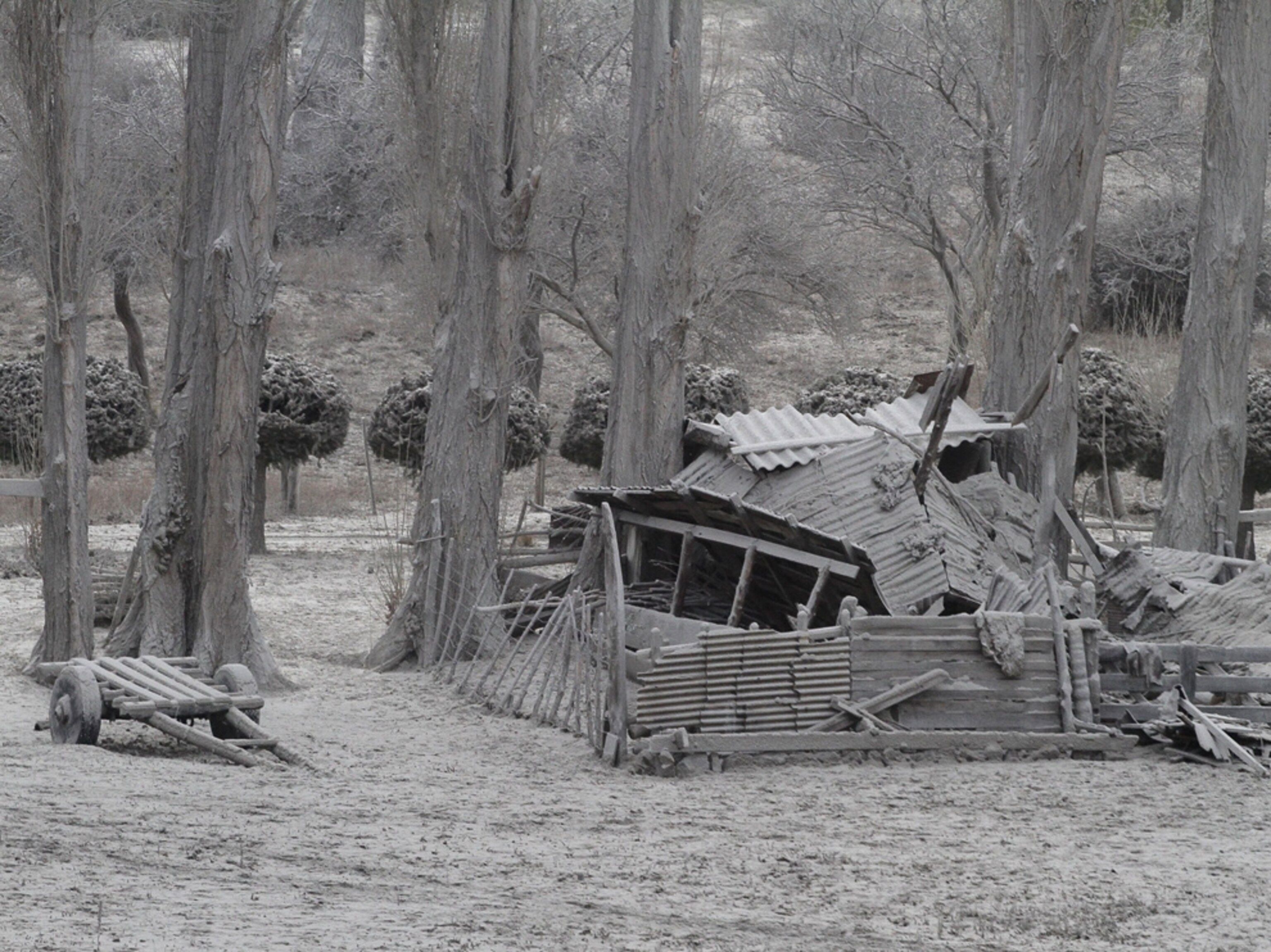 Volcano picture: a shed that caved in from the Chile volcano