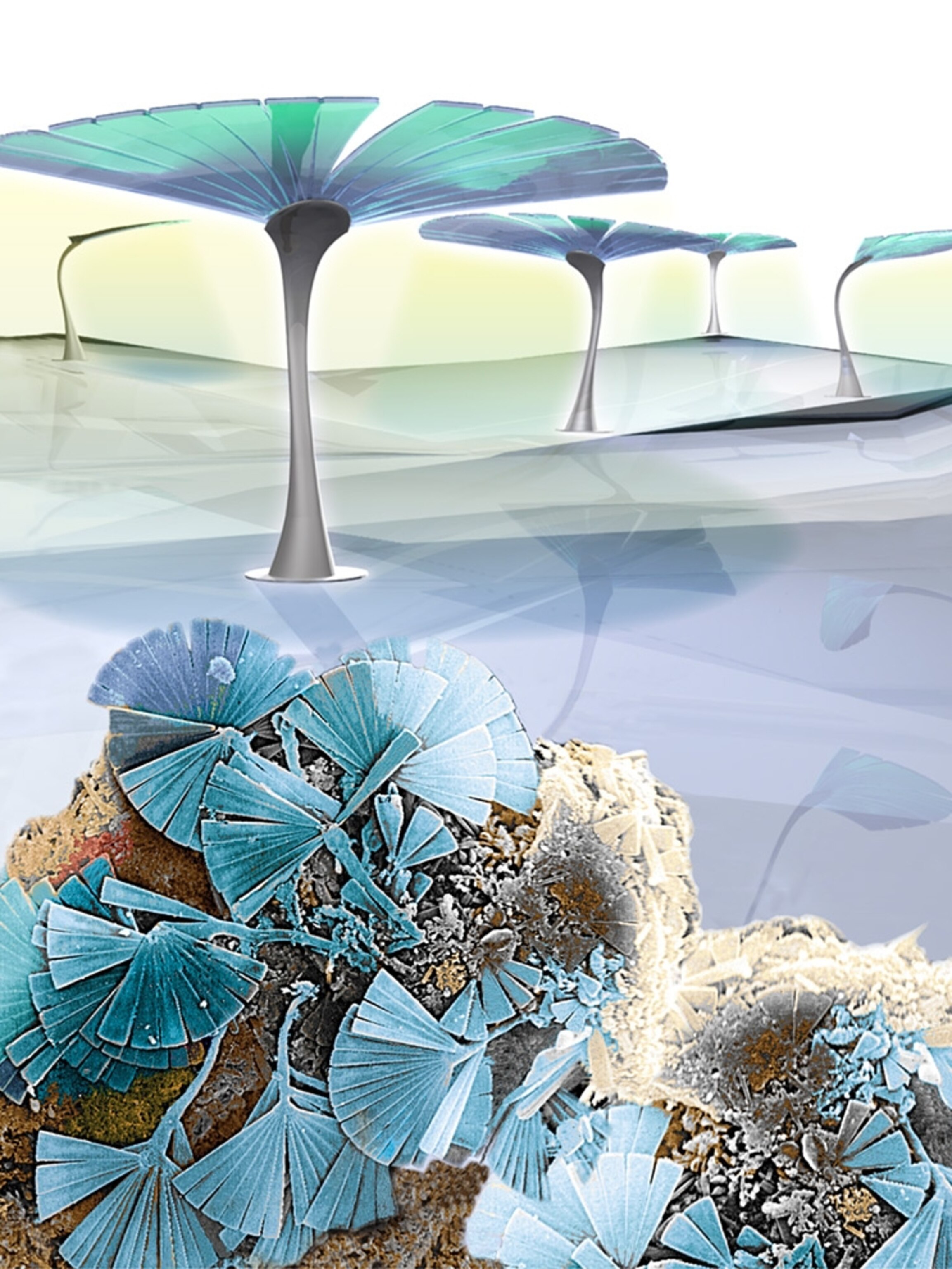 Best Science Pictures Announced