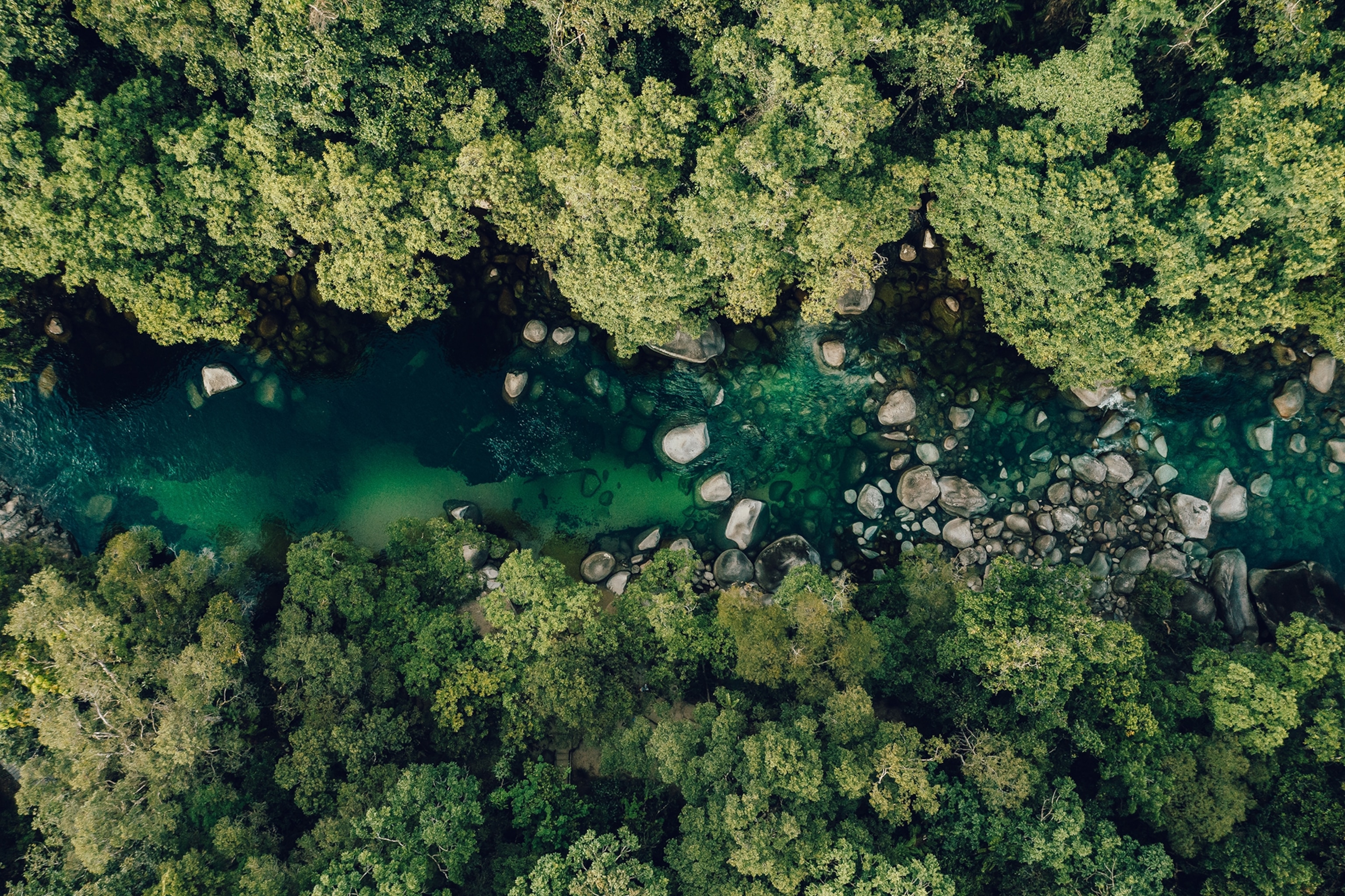 A river flows through the Mossman Gorge in the Daintree Rainforest.