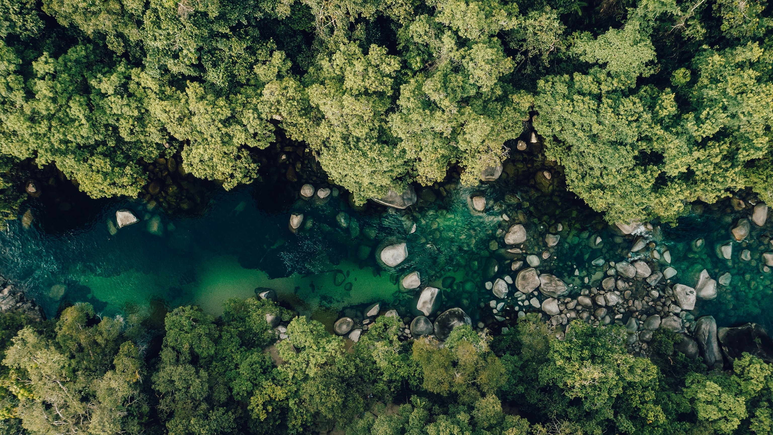 Everything You Need to Know About Queensland’s Tropical North