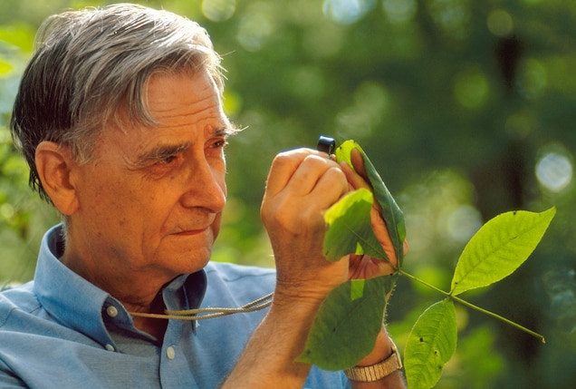 E.O. Wilson, &#39;Darwin&#39;s natural heir,&#39; dies at age 92