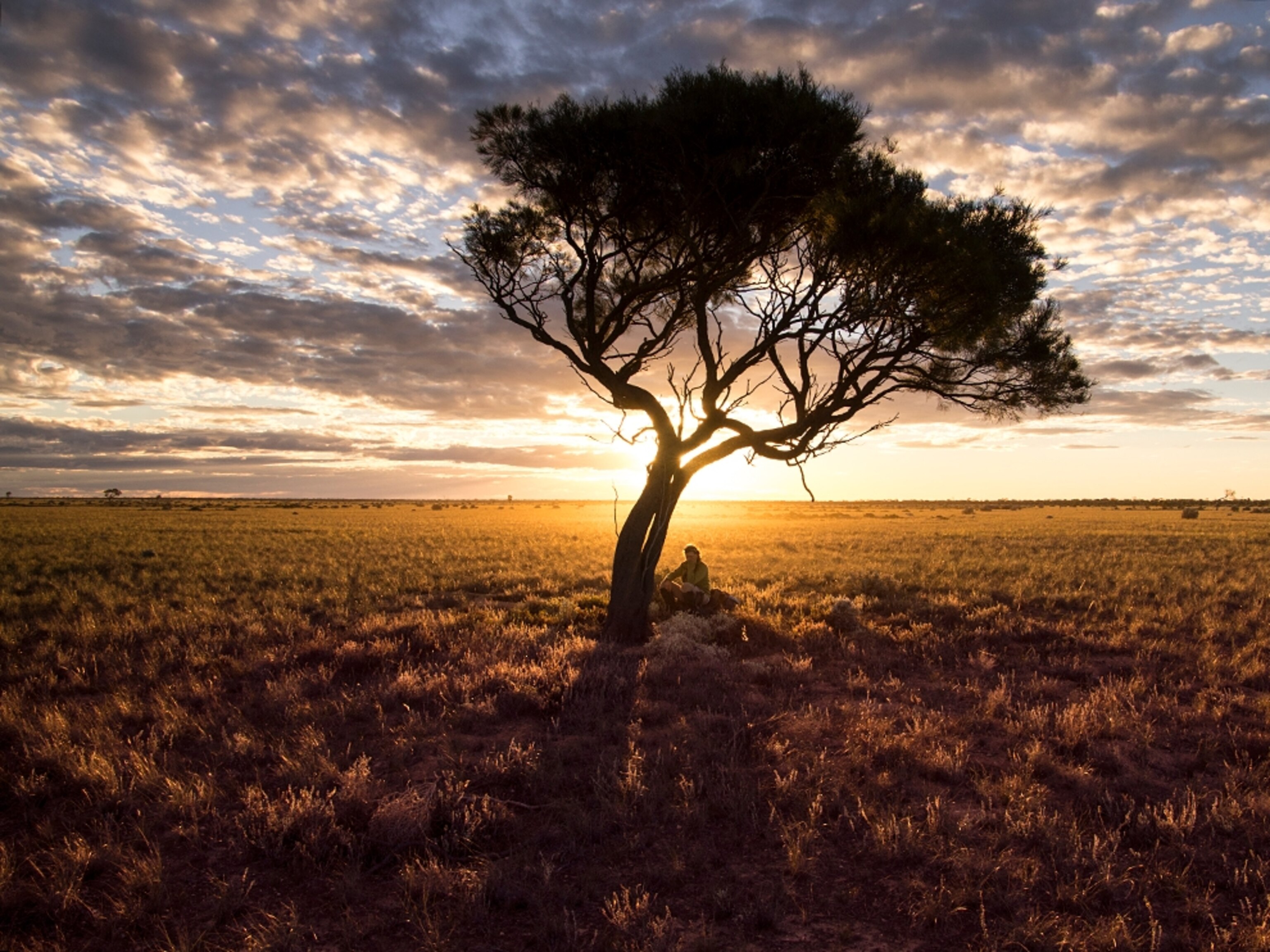 Sarah Marquis resting under a tree, Australia