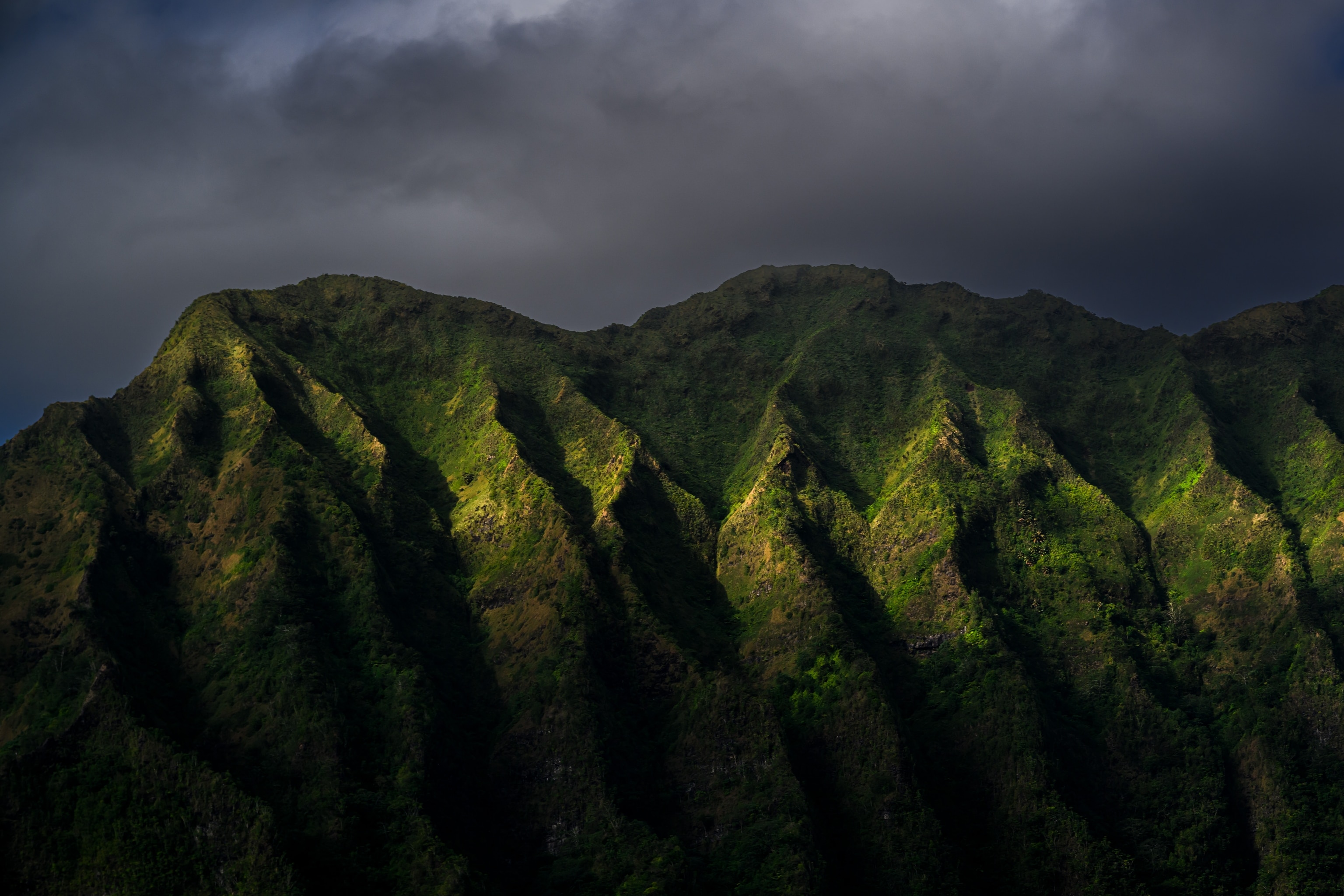Mauka to makai, a holistic, indigenous approach to land and water management that acknowledges the innumerable connections that unfold in the space between volcanic peaks and offshore reefs.
