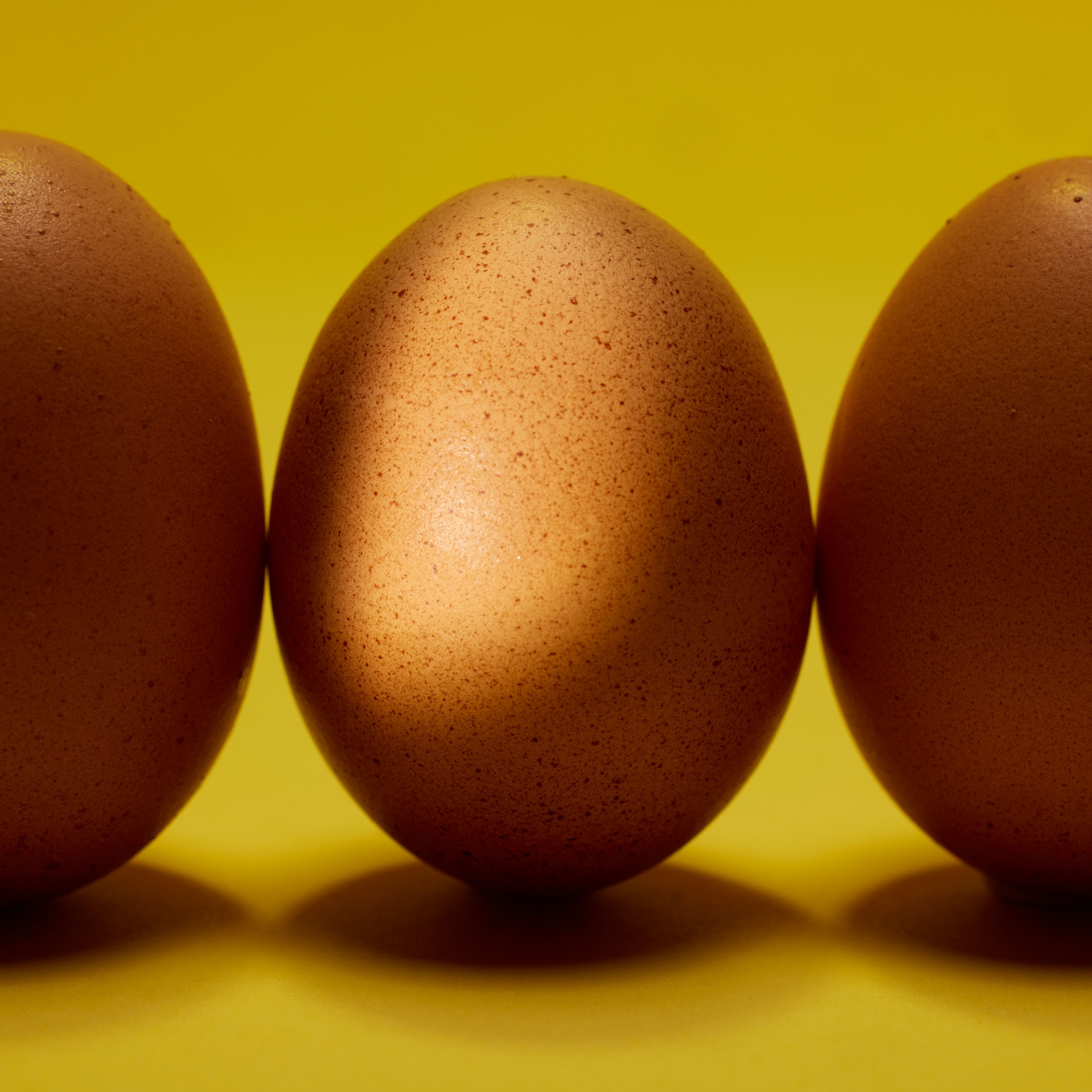 brown eggs on a yellow backdrop