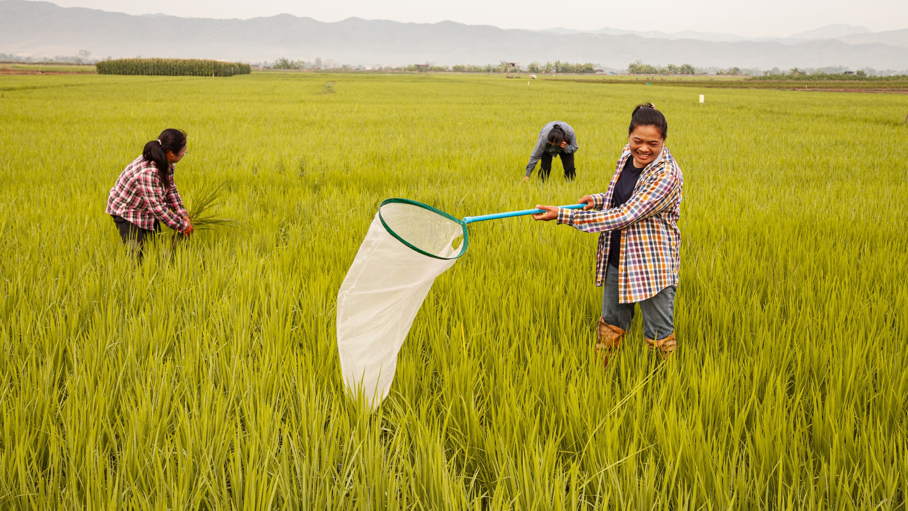 In Thailand, the future of farming is regenerative
