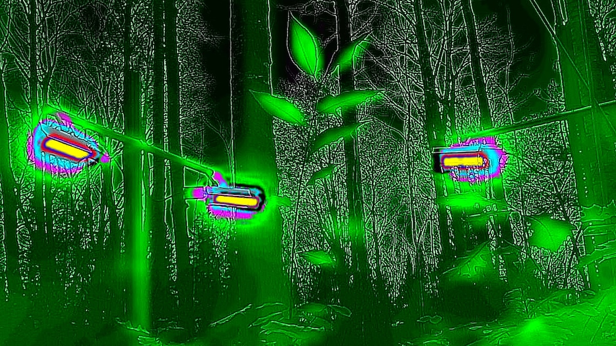 4 solutions for trees and forests threatened by a hotter world - Vimarsana News