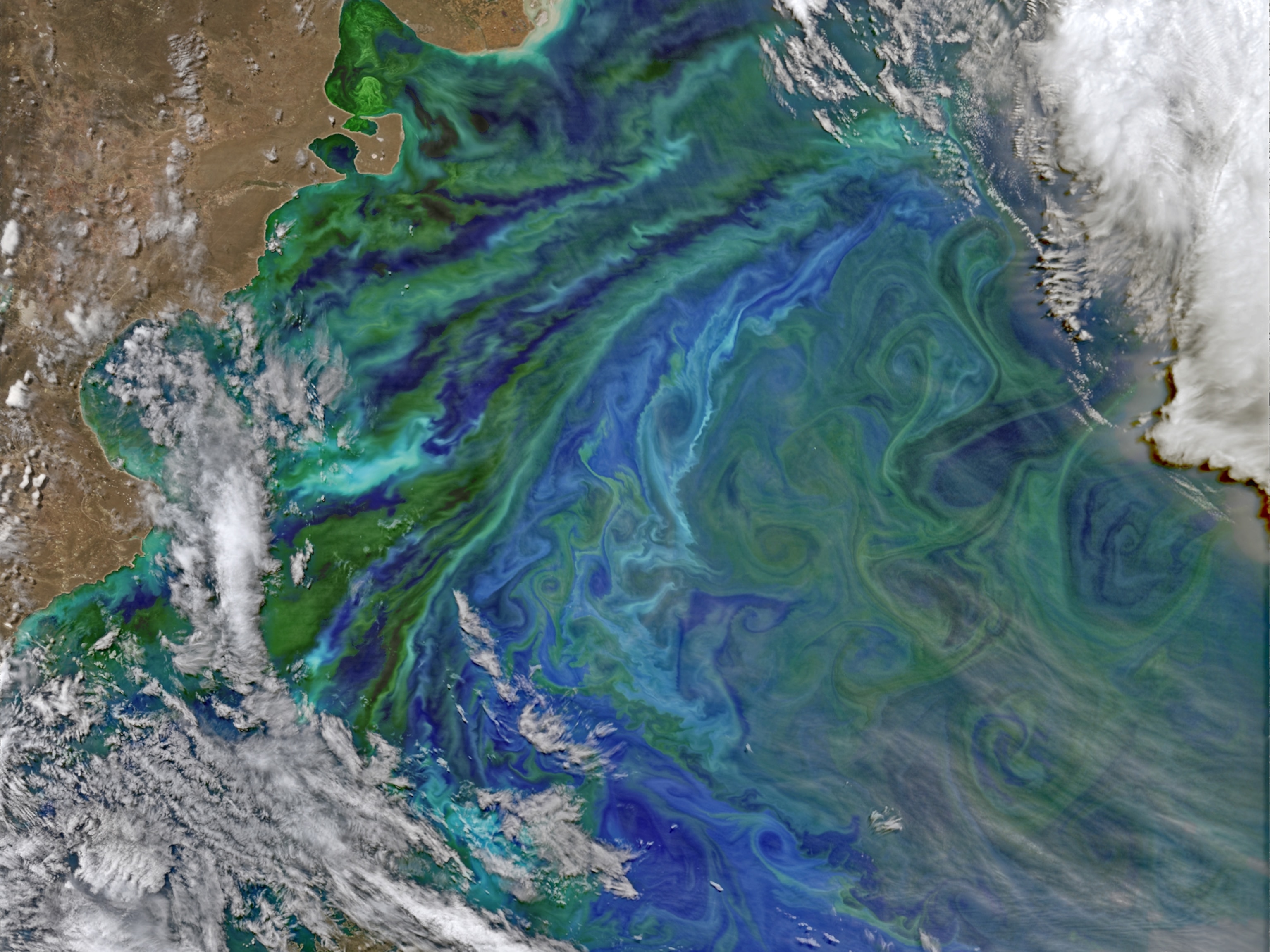 An aerial photo showing phytoplankton-rich waters off of Argentina