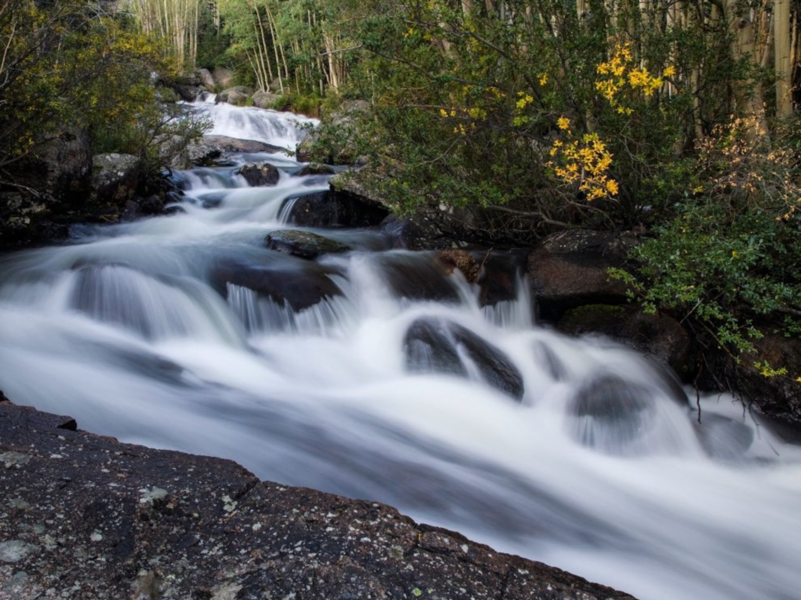 a glacier creek in Rocky Mountain National Park, Colorado
