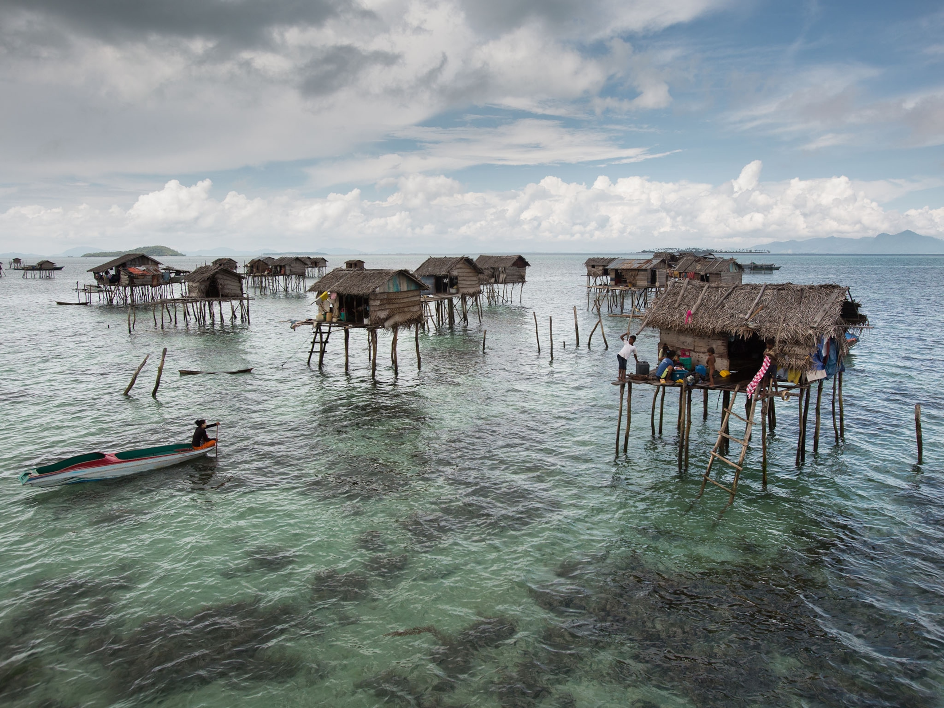 Larger Spleens Help Bajau “Sea Nomads” Dive