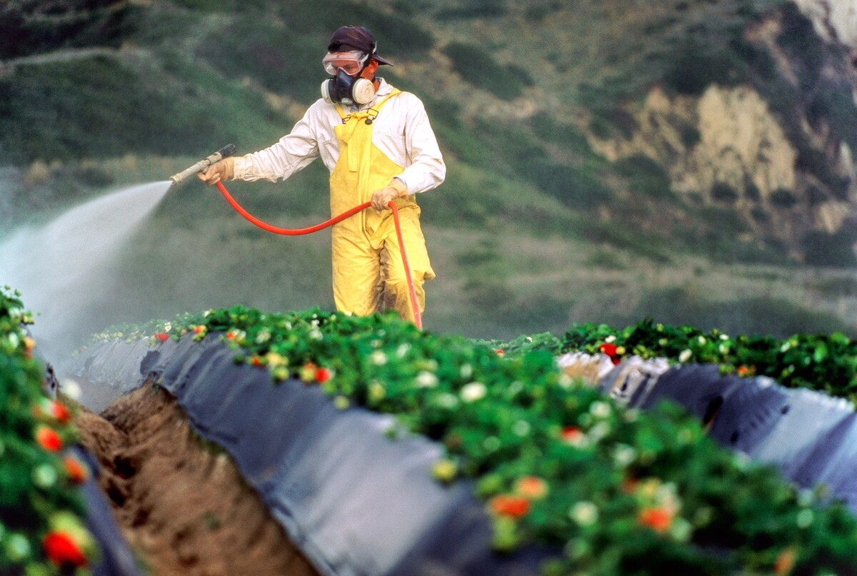 Fate Of Farm Pesticide Rule Far From Settled