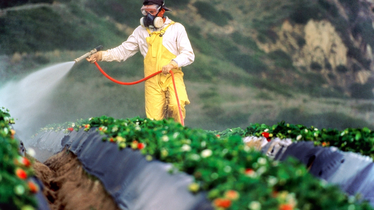 Fate of Farm Pesticide Rule Far From Settled