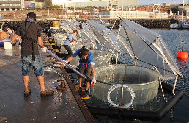 Could crushed rocks absorb enough carbon to curb global warming? 2