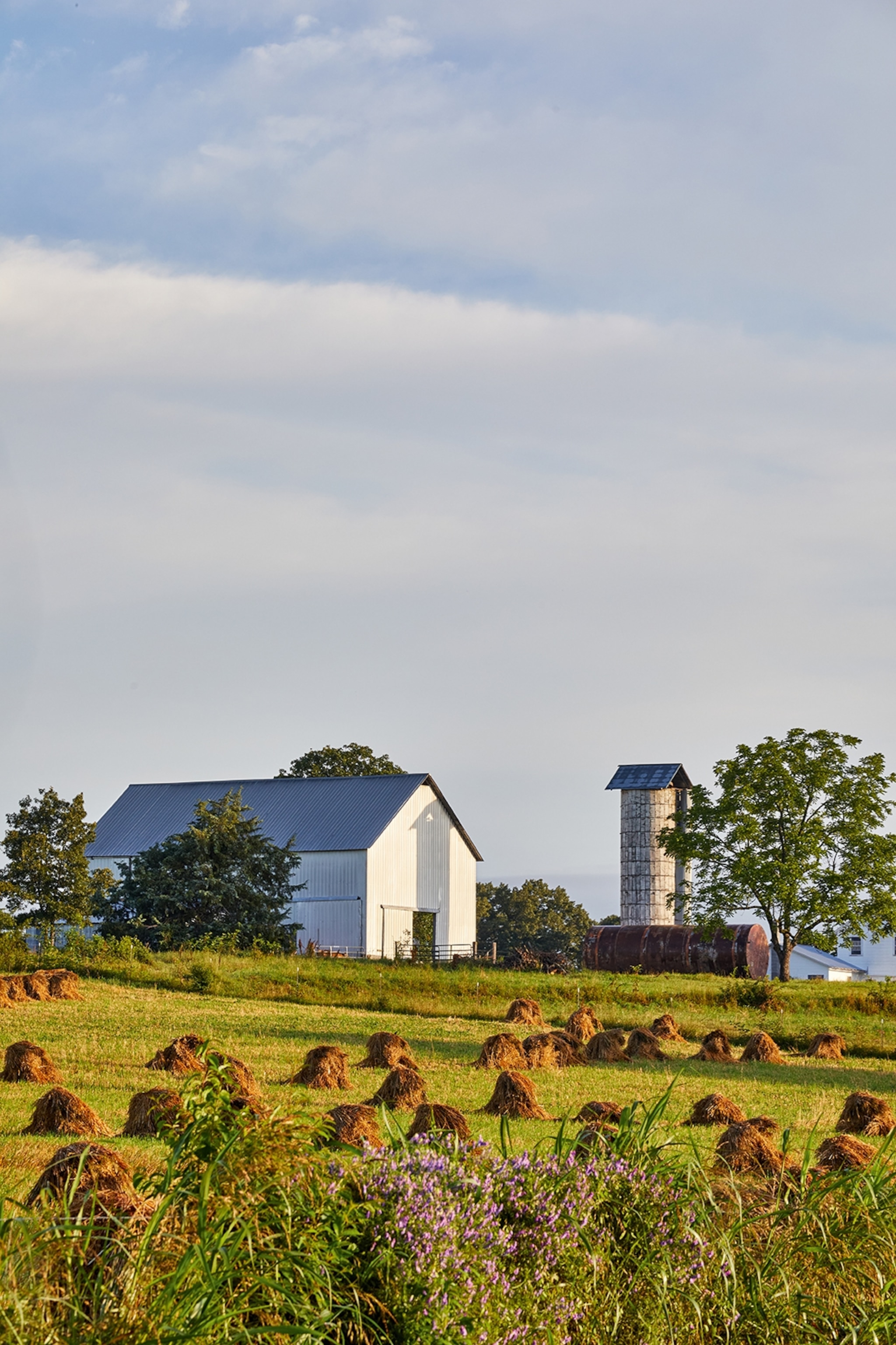 A scenic, countryside shot of a simple farm house at the edge of a lush field with hay balls and a tree.