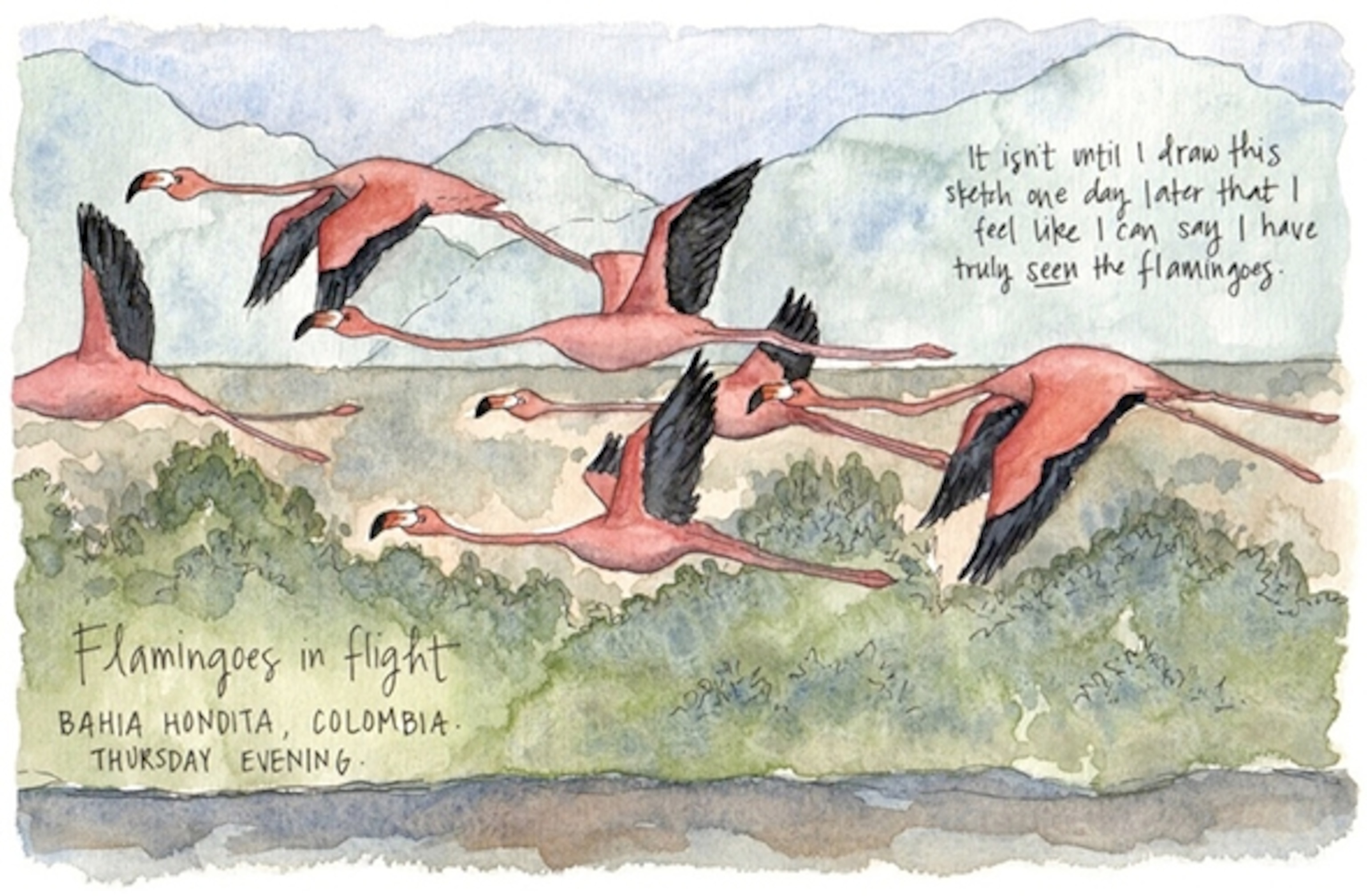 (Illustration by Candace Rardon)