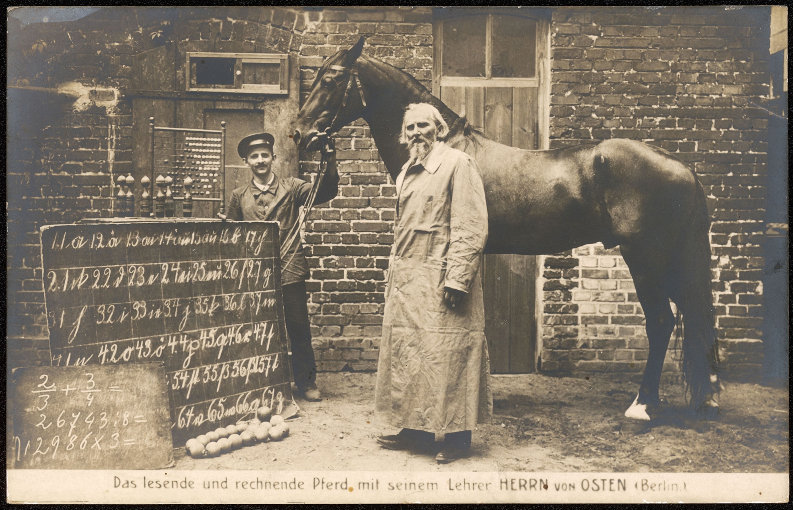 Hans the Clever Horse
