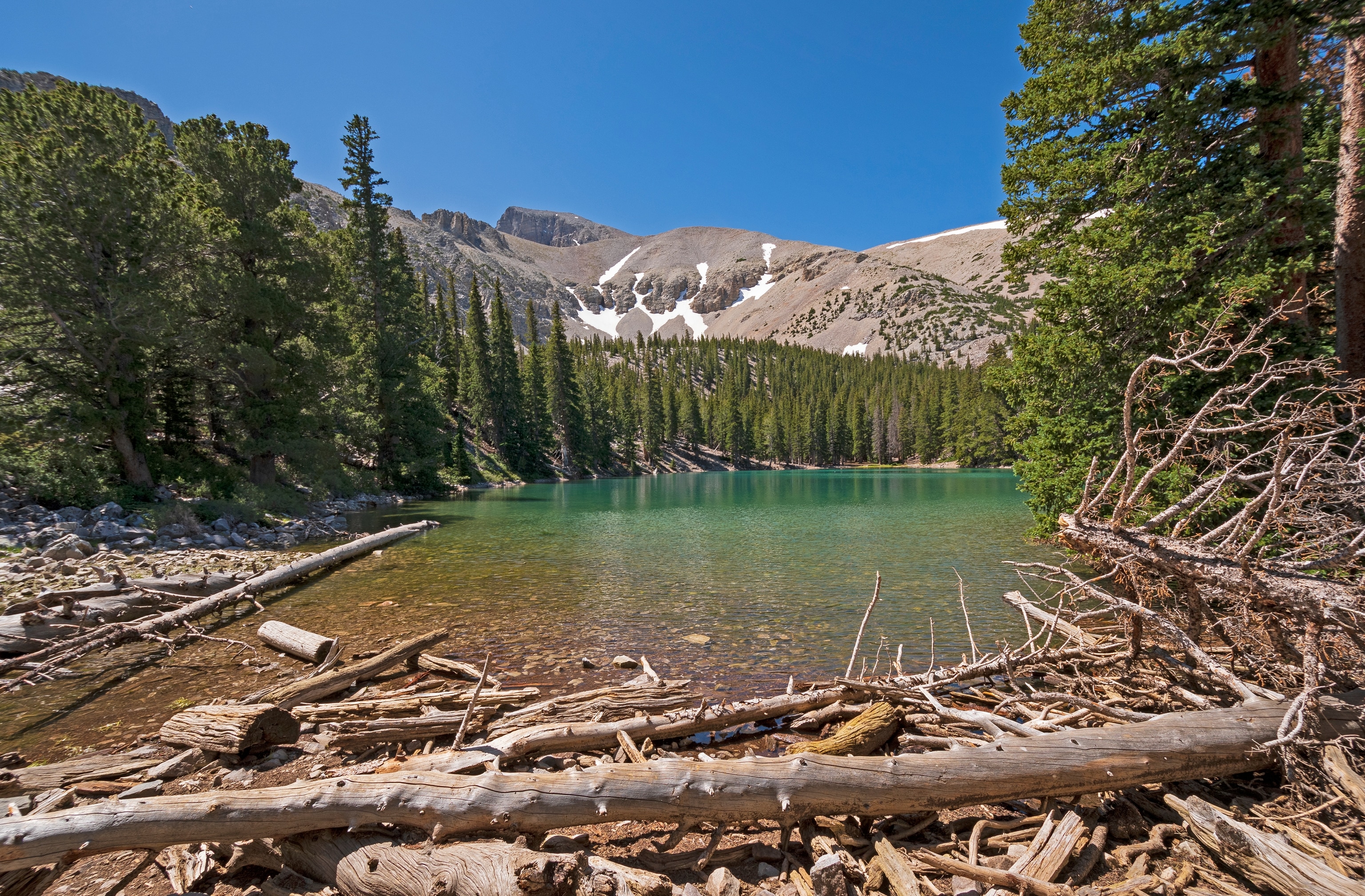 Blue water surrounded by green trees and a mountain in the distance