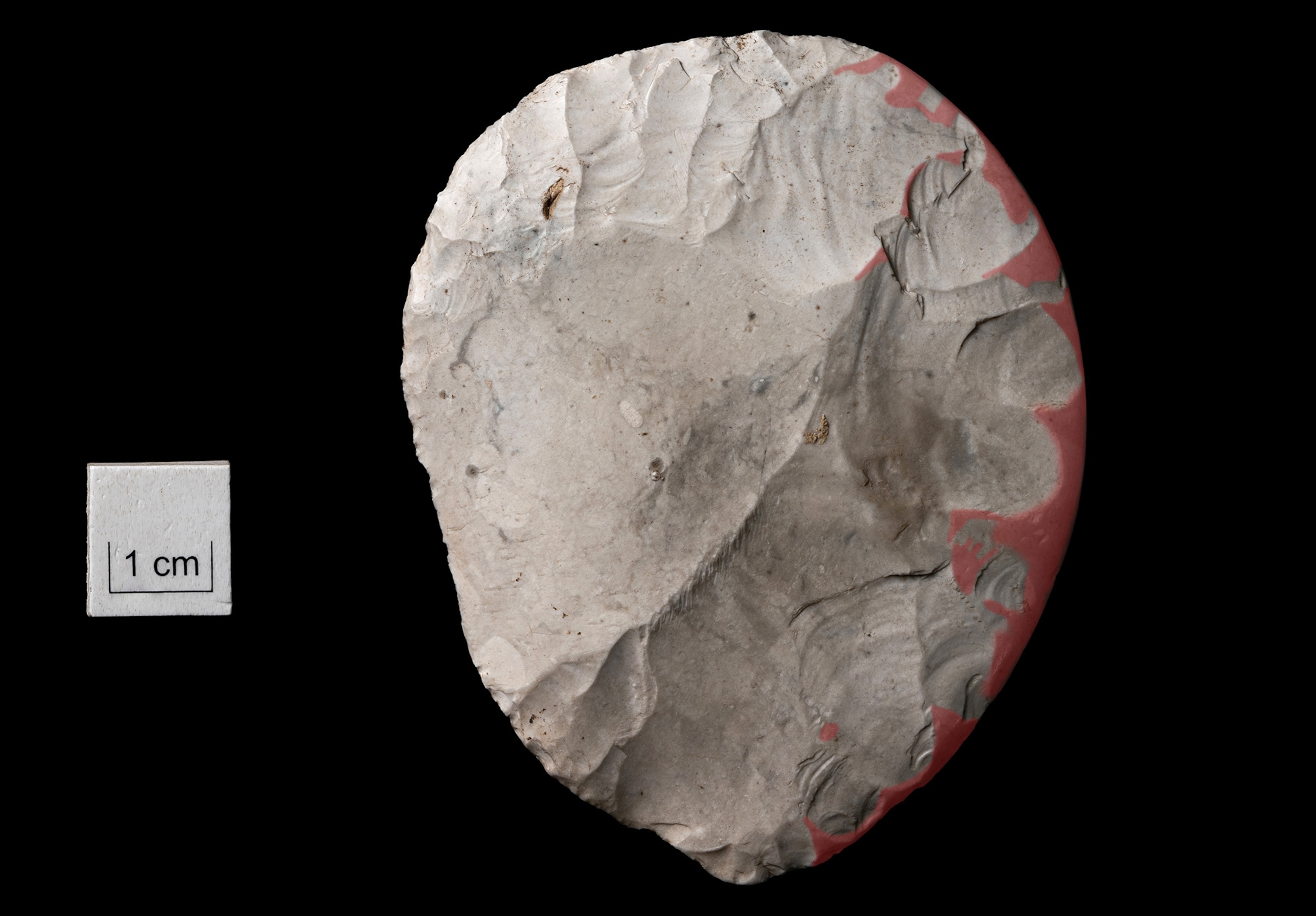 Disc shaped flint knife found at Bulford by Phil Harding of Wessex Archaeology