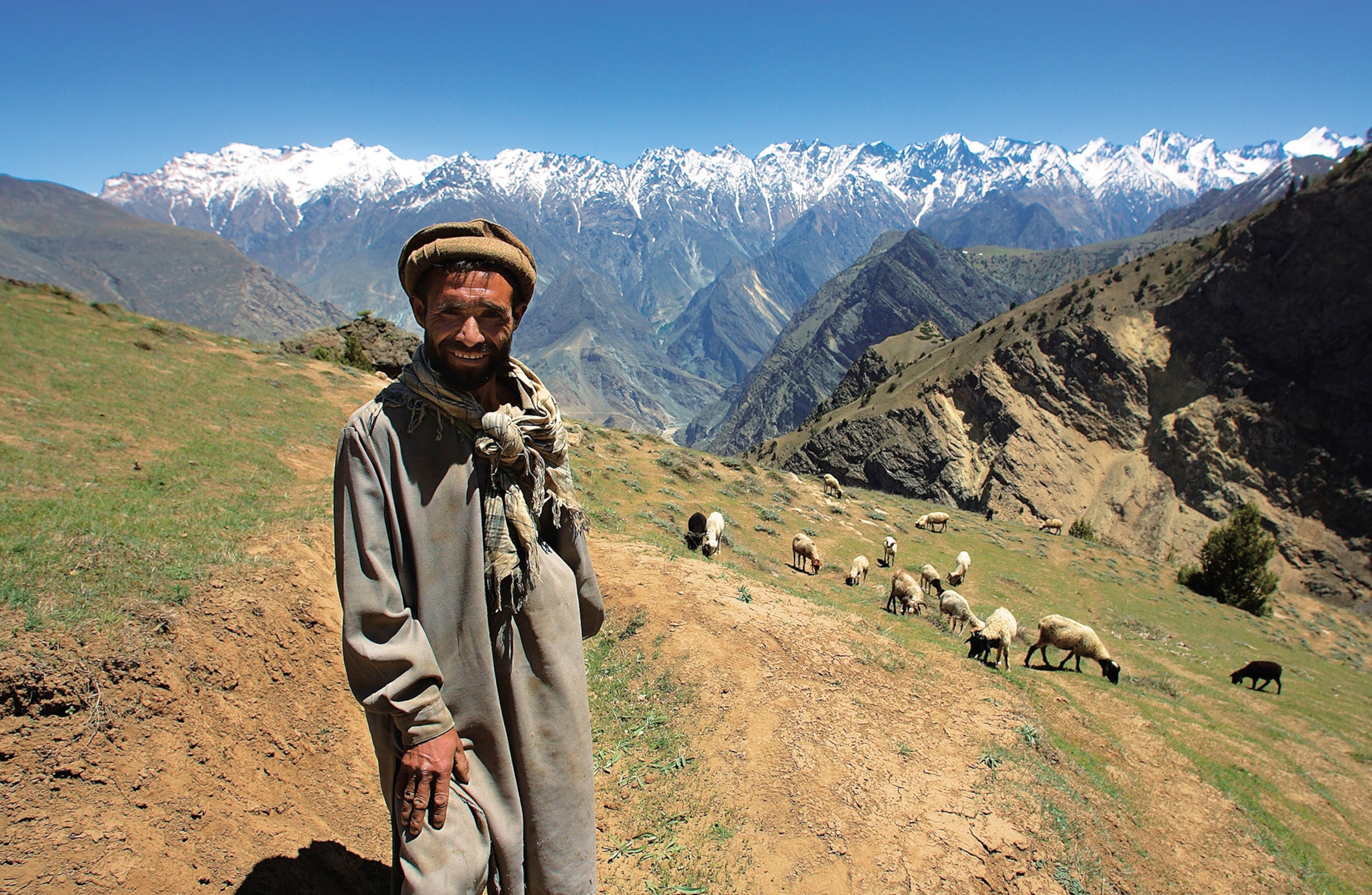 herds owned by Himalayans shepherds