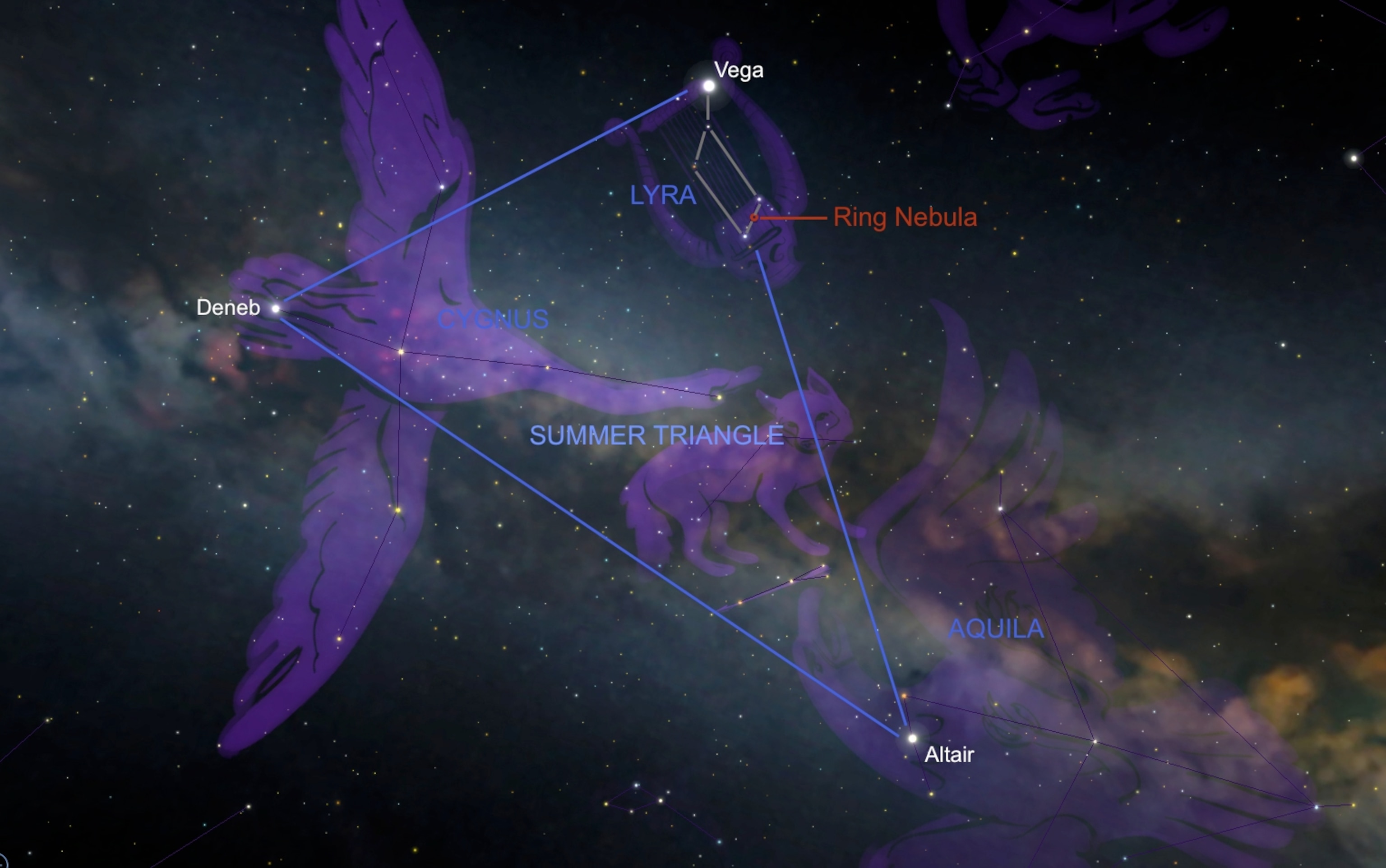 a chart showing the ring nebula
