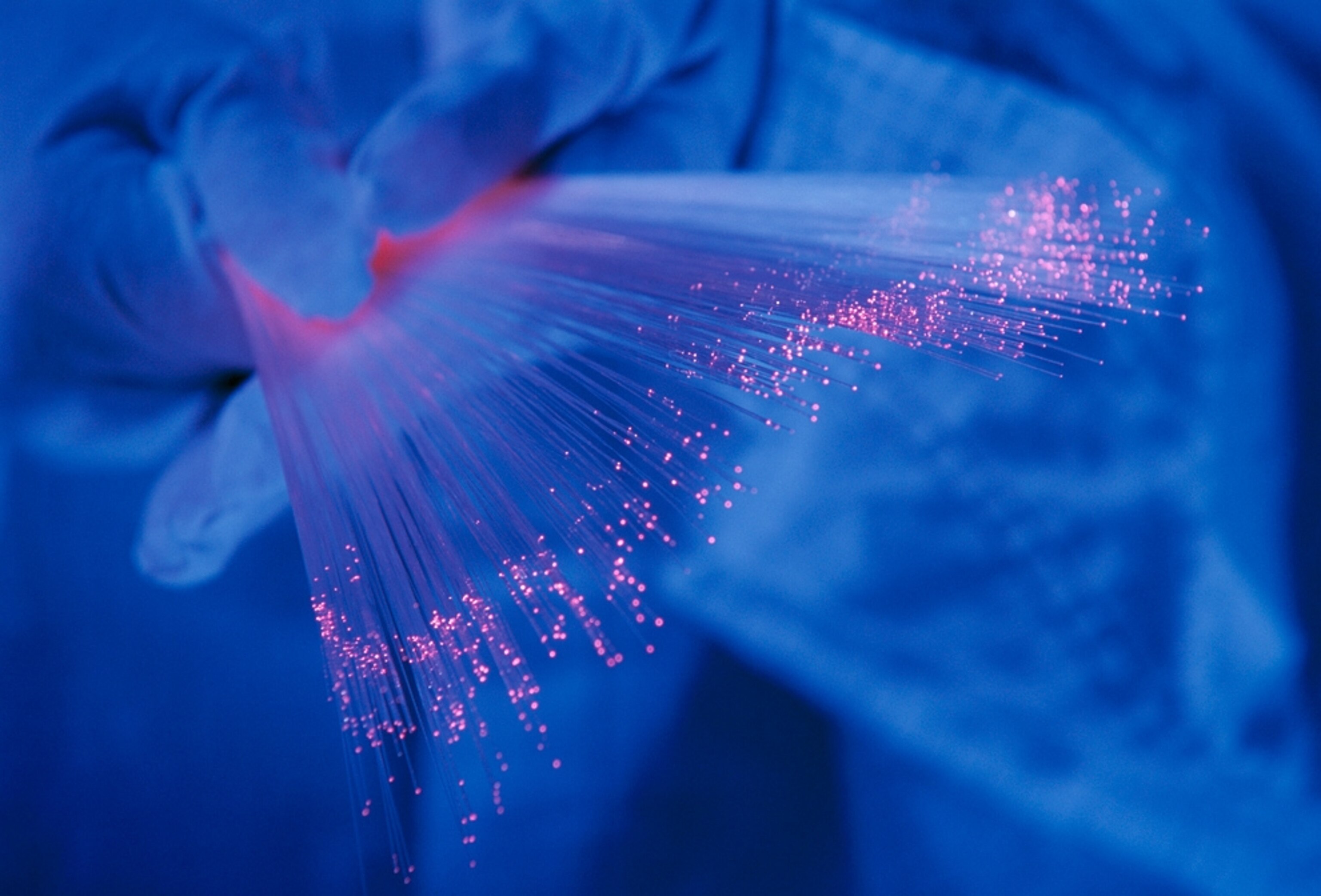 Fiber-optic strands.
