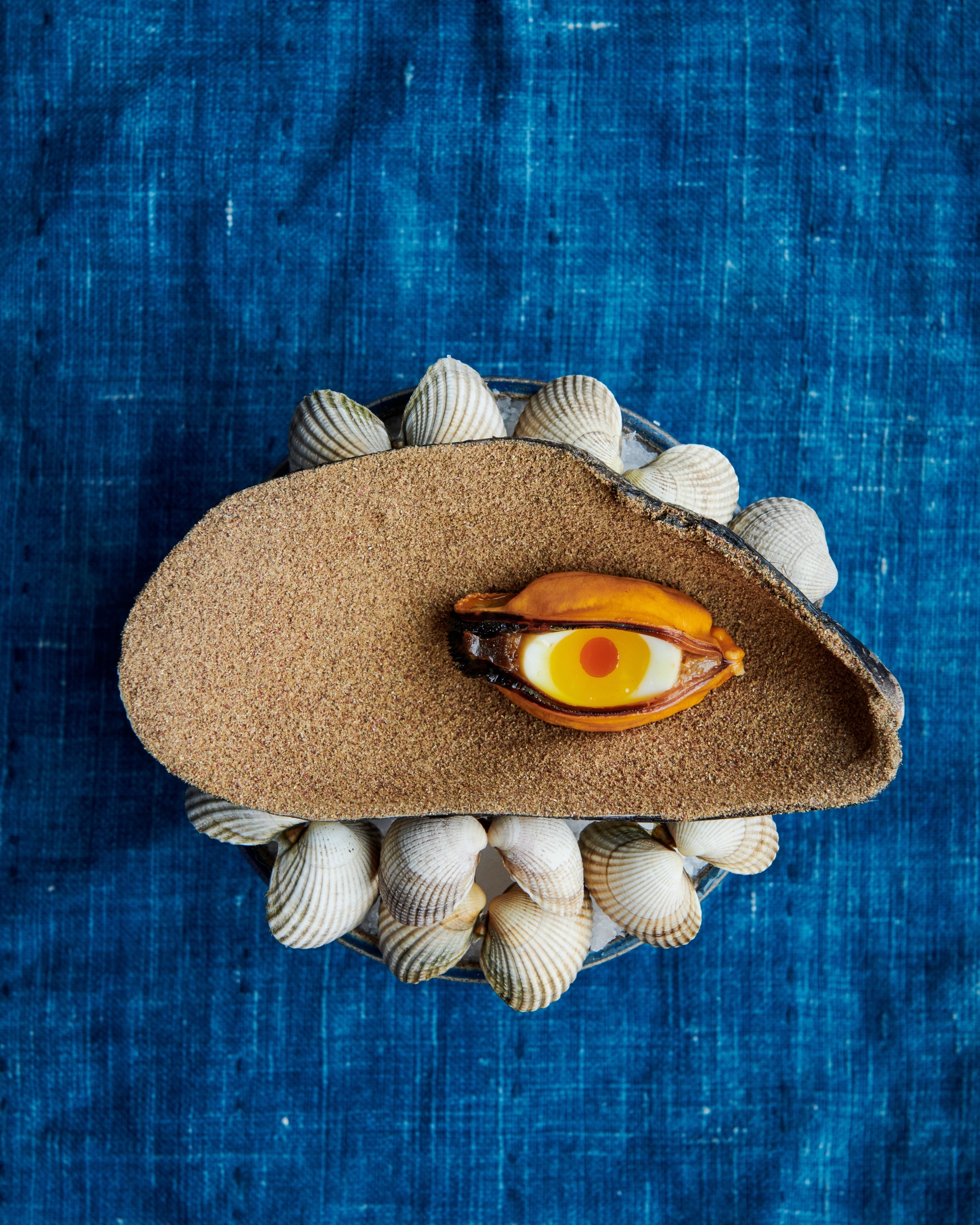 seafood dish surrounded by decorative shells