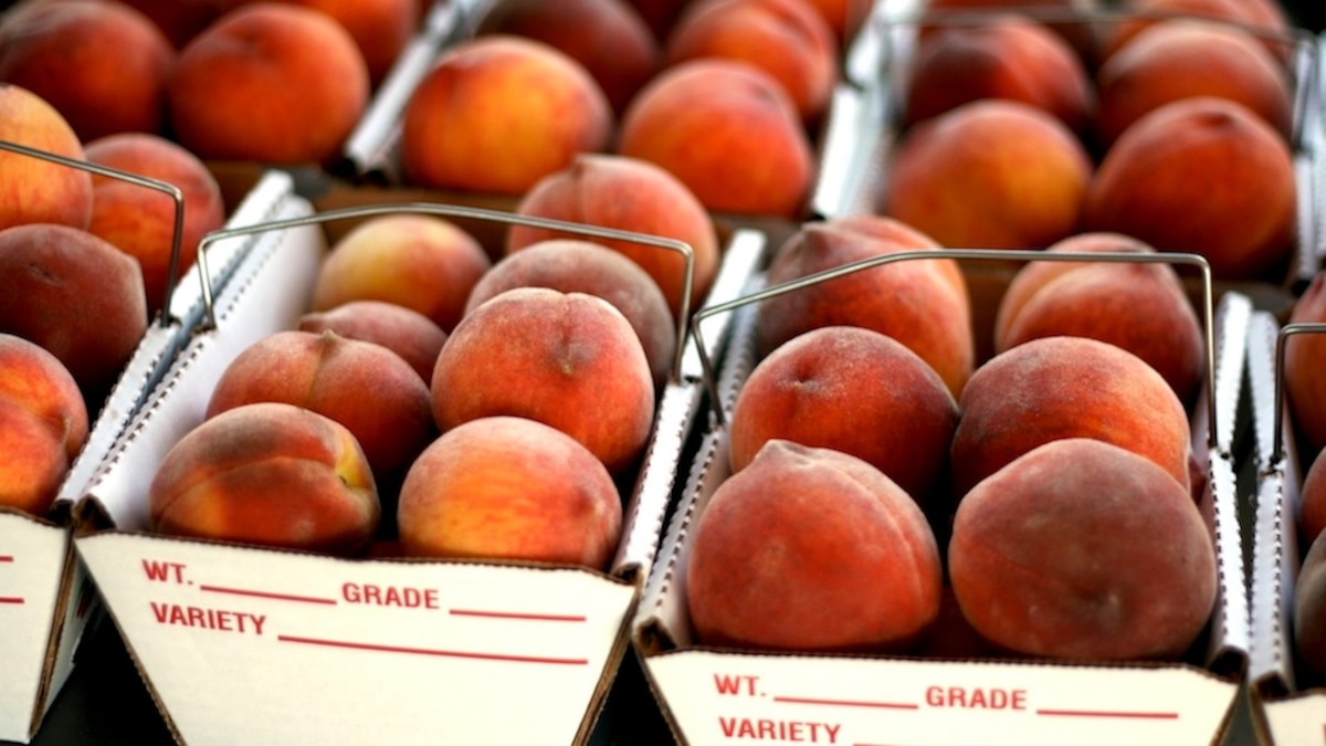 Onward Journal The Perfect Peach