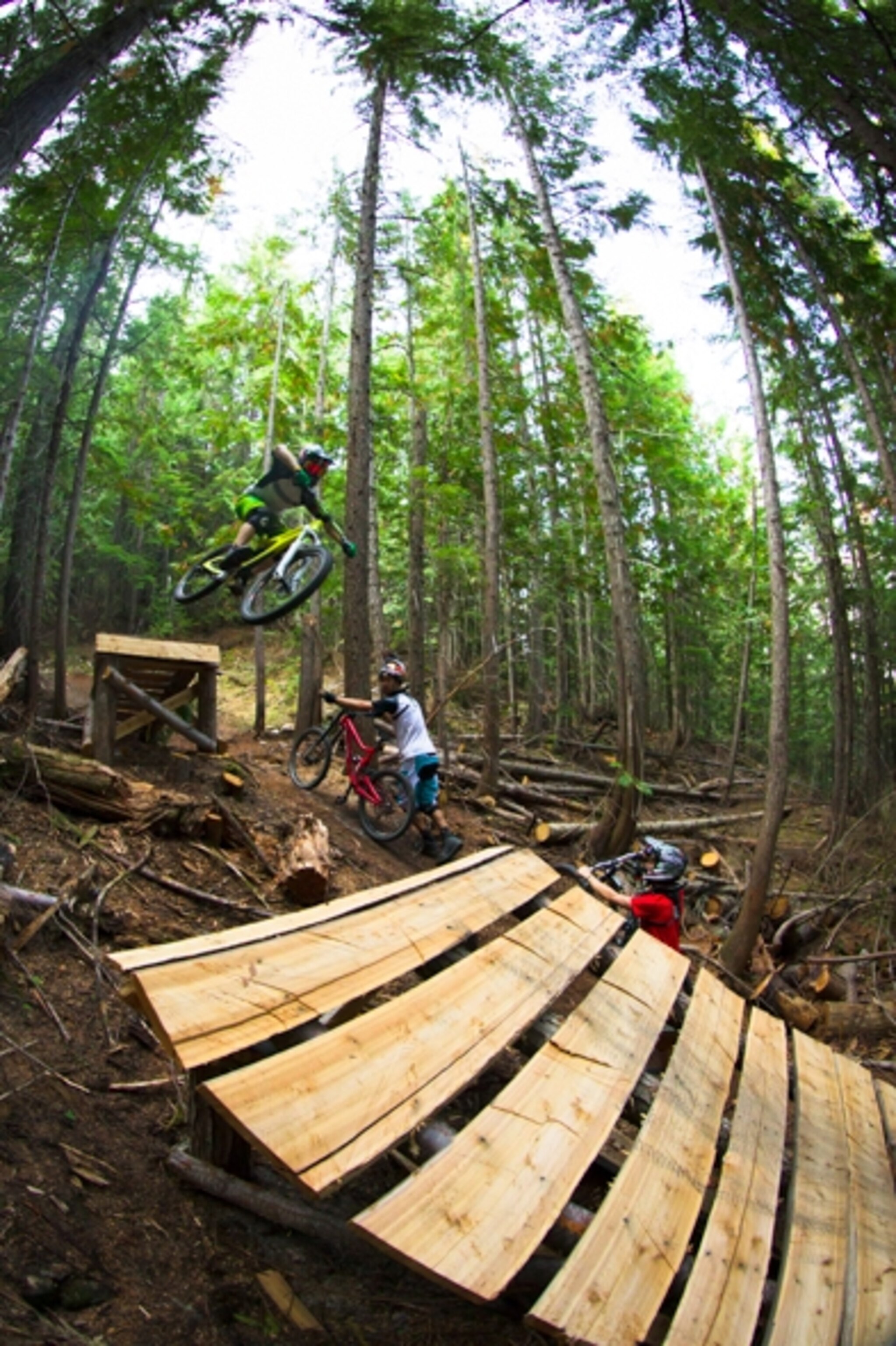 Photograph by Chad Spector