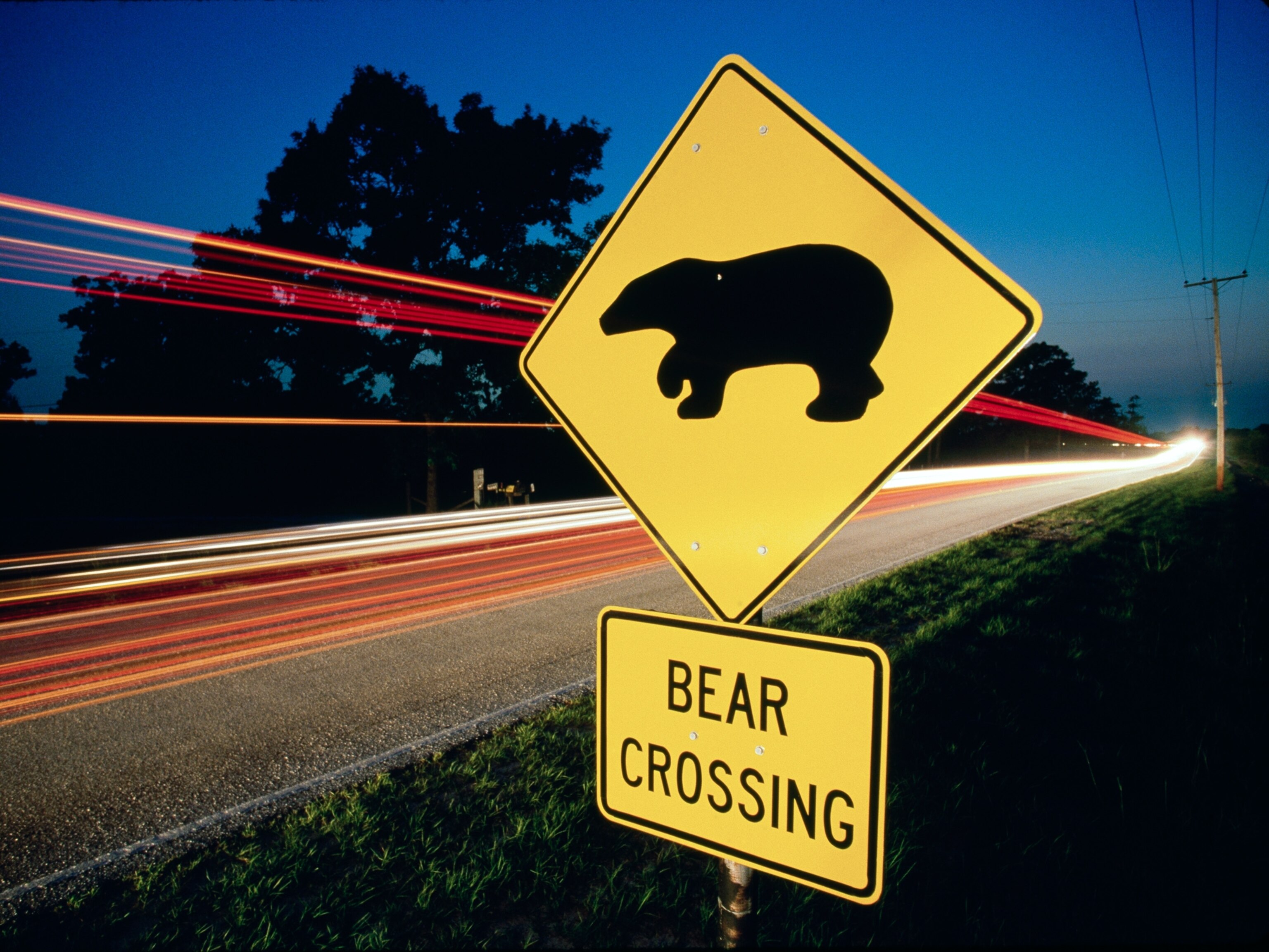 Sign picture - bear-crossing sign in Florida