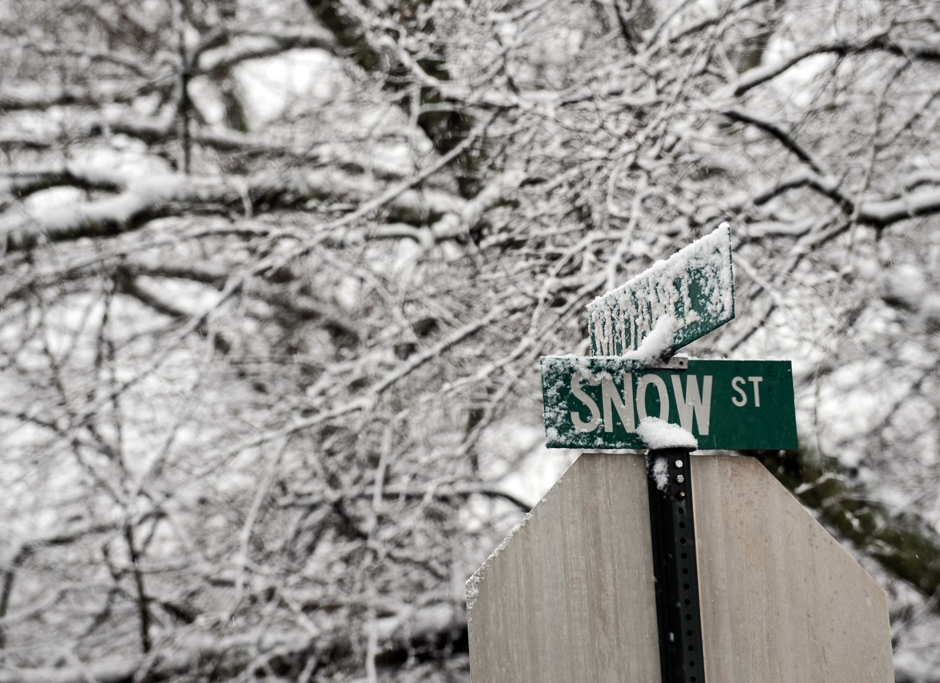 A man braces his umbrella while walking through the snow in NY City.