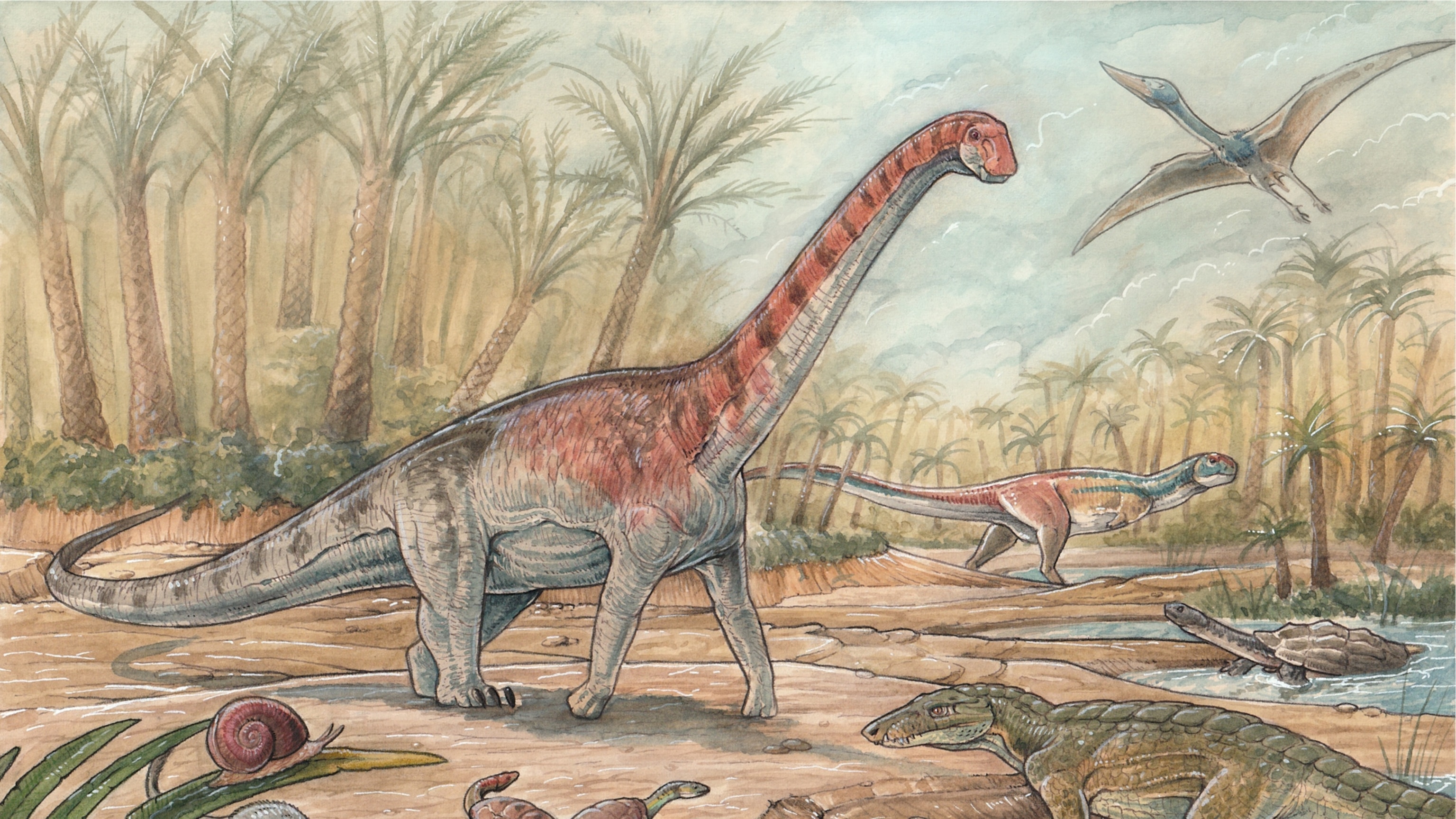 Scientists find a new titanosaur dinosaur species in Patagonia