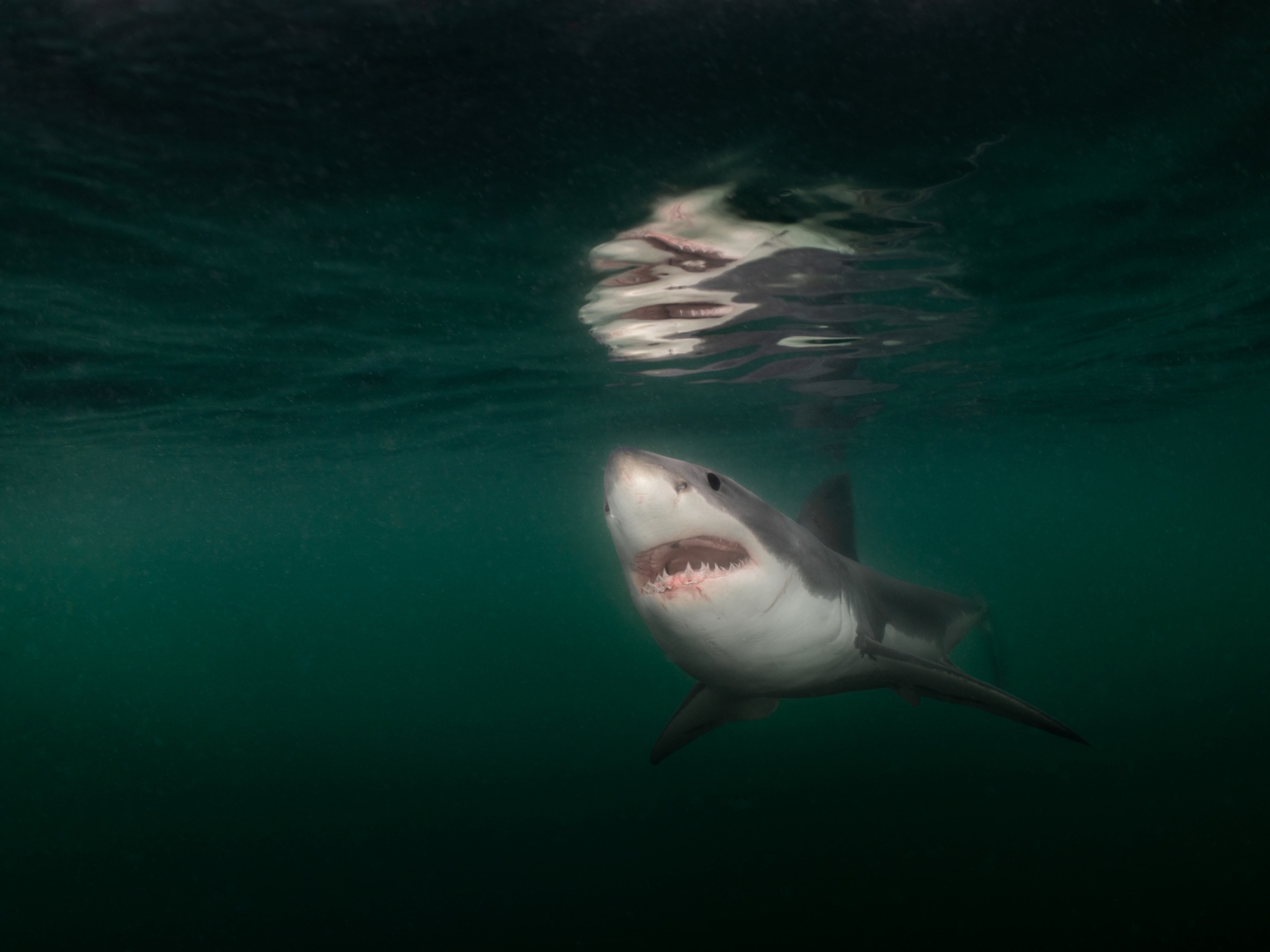 National Geographic | National Geographic