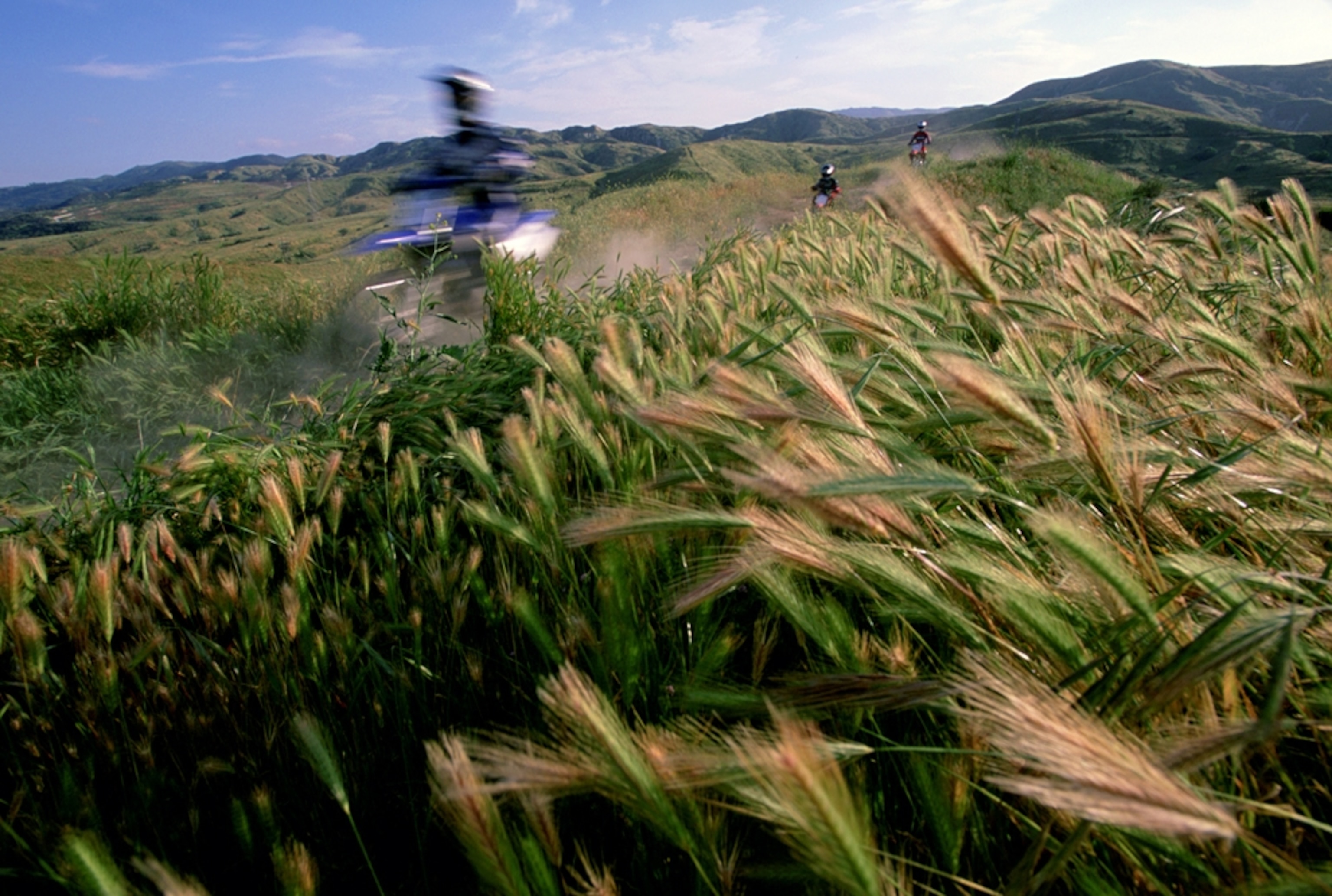 A family rides motorbikes in the field