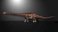 Largest Animal Ever Lived On Earth