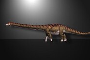 Largest Animal In The World Ever Lived